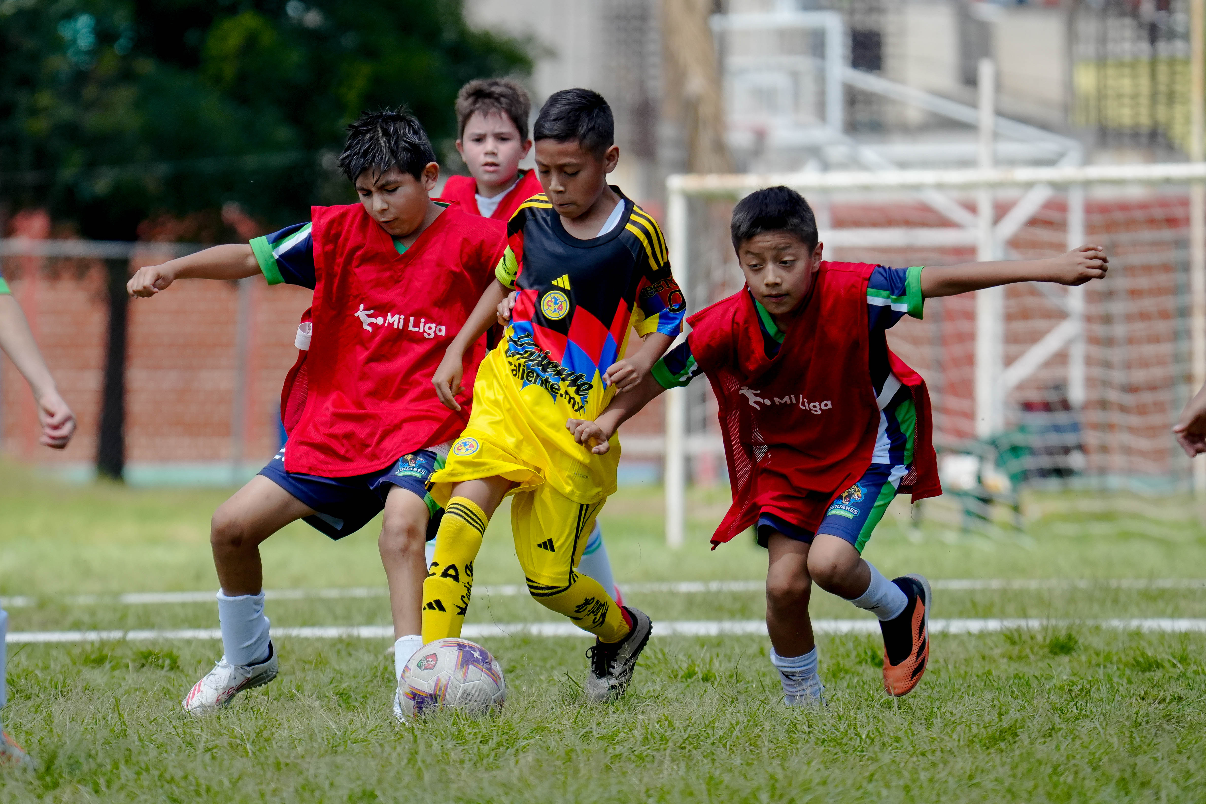 J3 PL - Jaguares Anne Sullivan 1-0 Águilas Azcapotzalco / 2014-15
