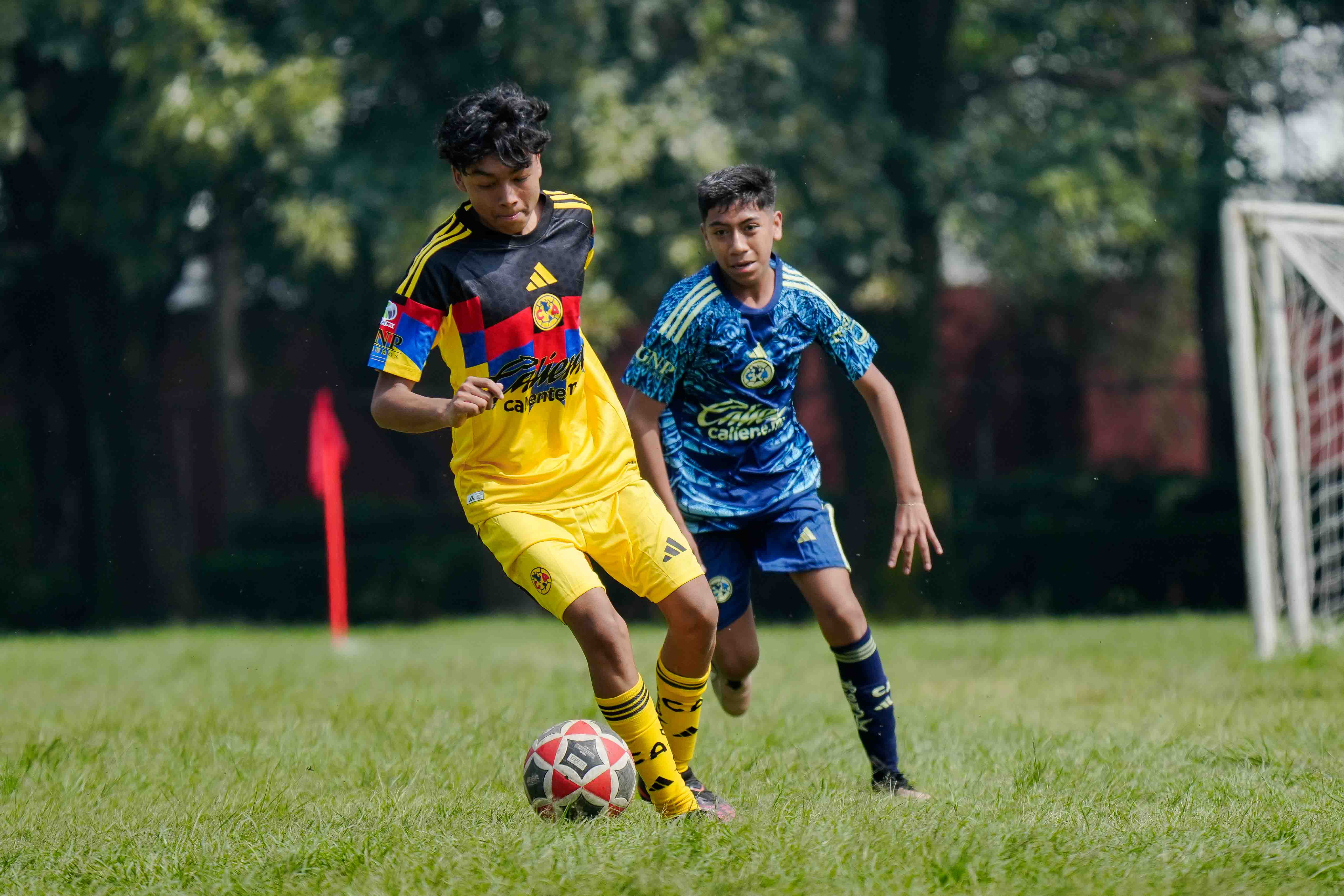 J3 PL - Aguilitas MH 0-2 Águilas Azcapotzalco / 2010-11