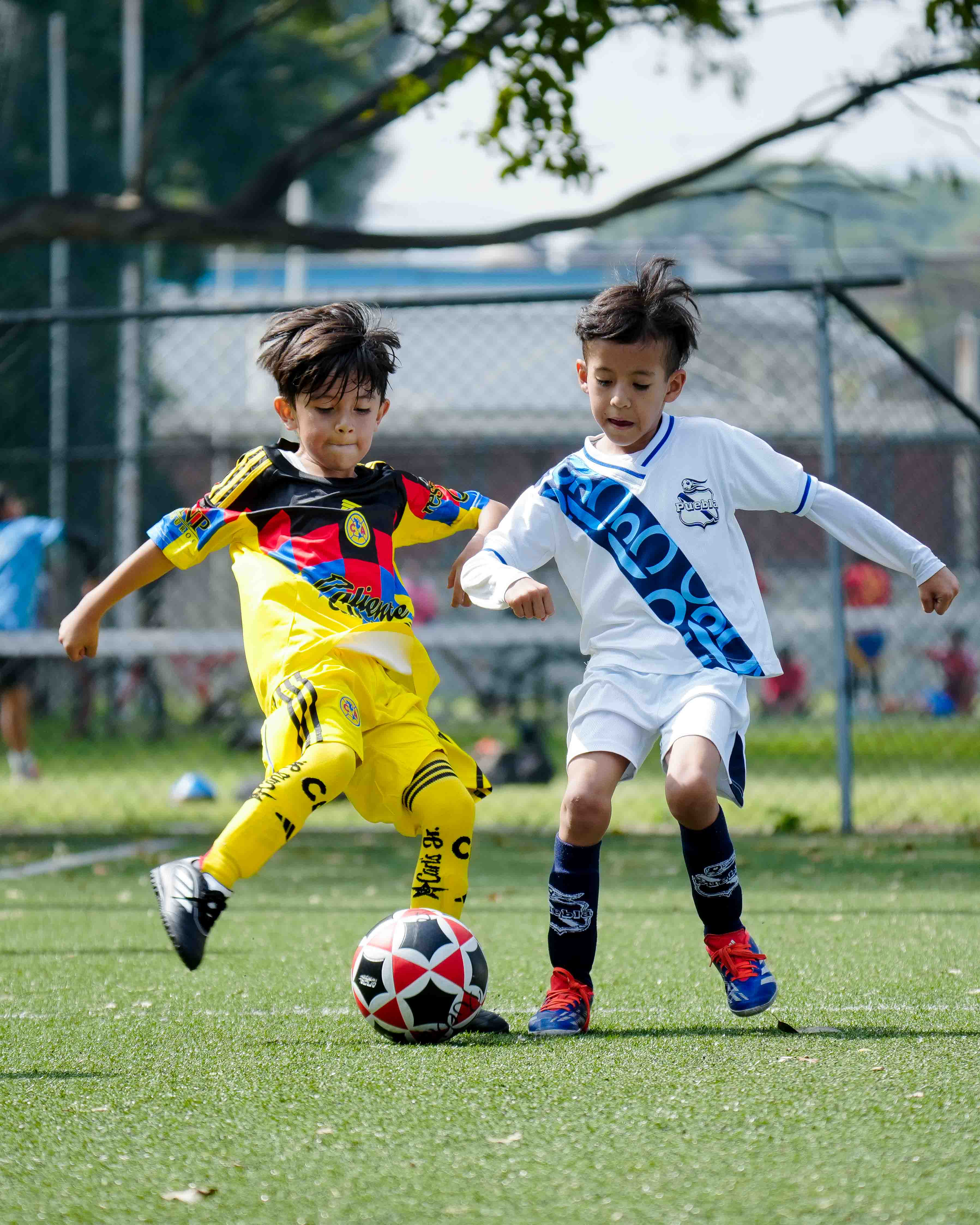 J3 PL - Águilas Azcapotzalco 3-1 Puebla Azcapotzalco / 2018-19