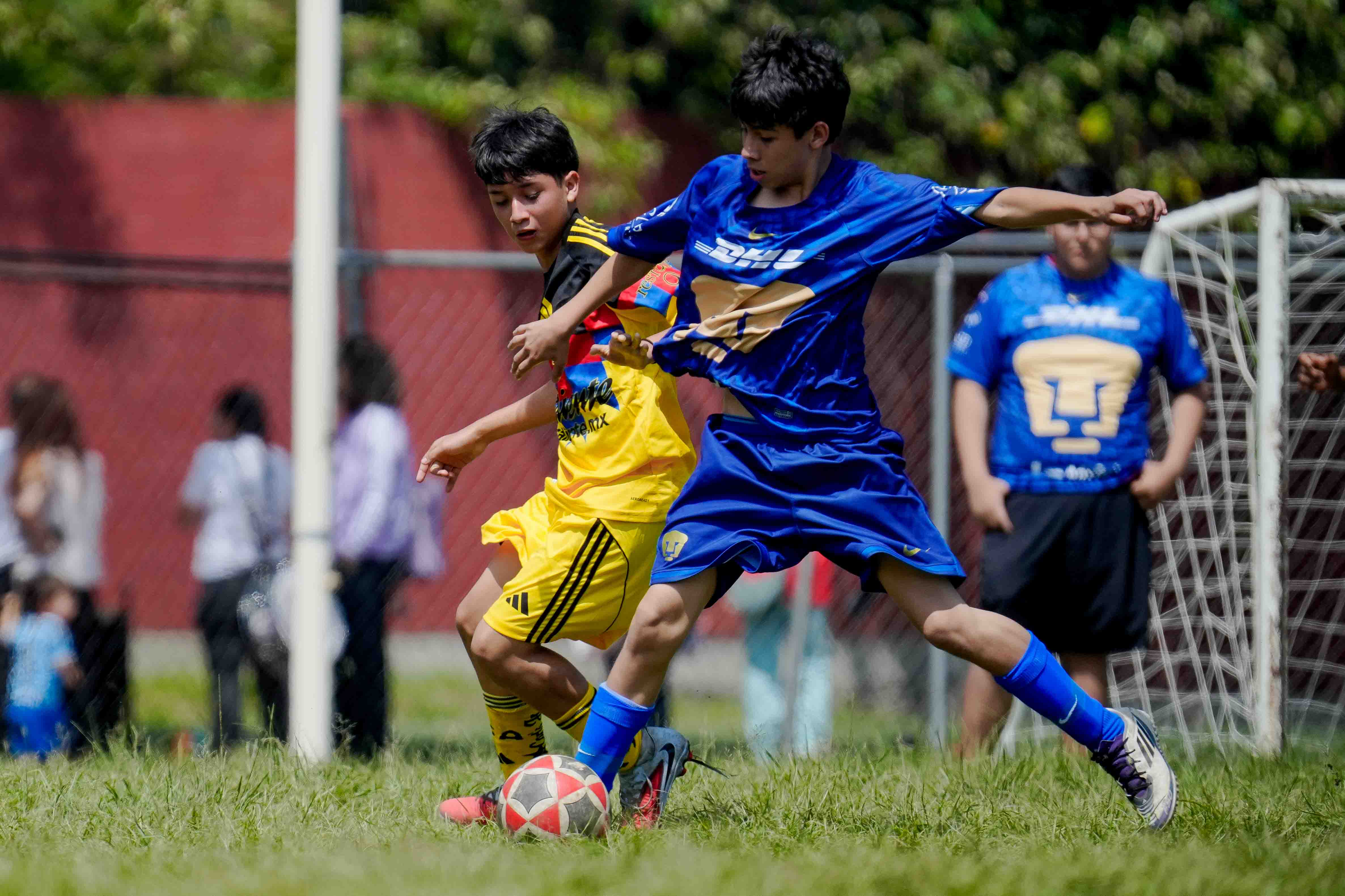 J3 PL - Academia Águilas 5-2 Pumas VR / 2008-09