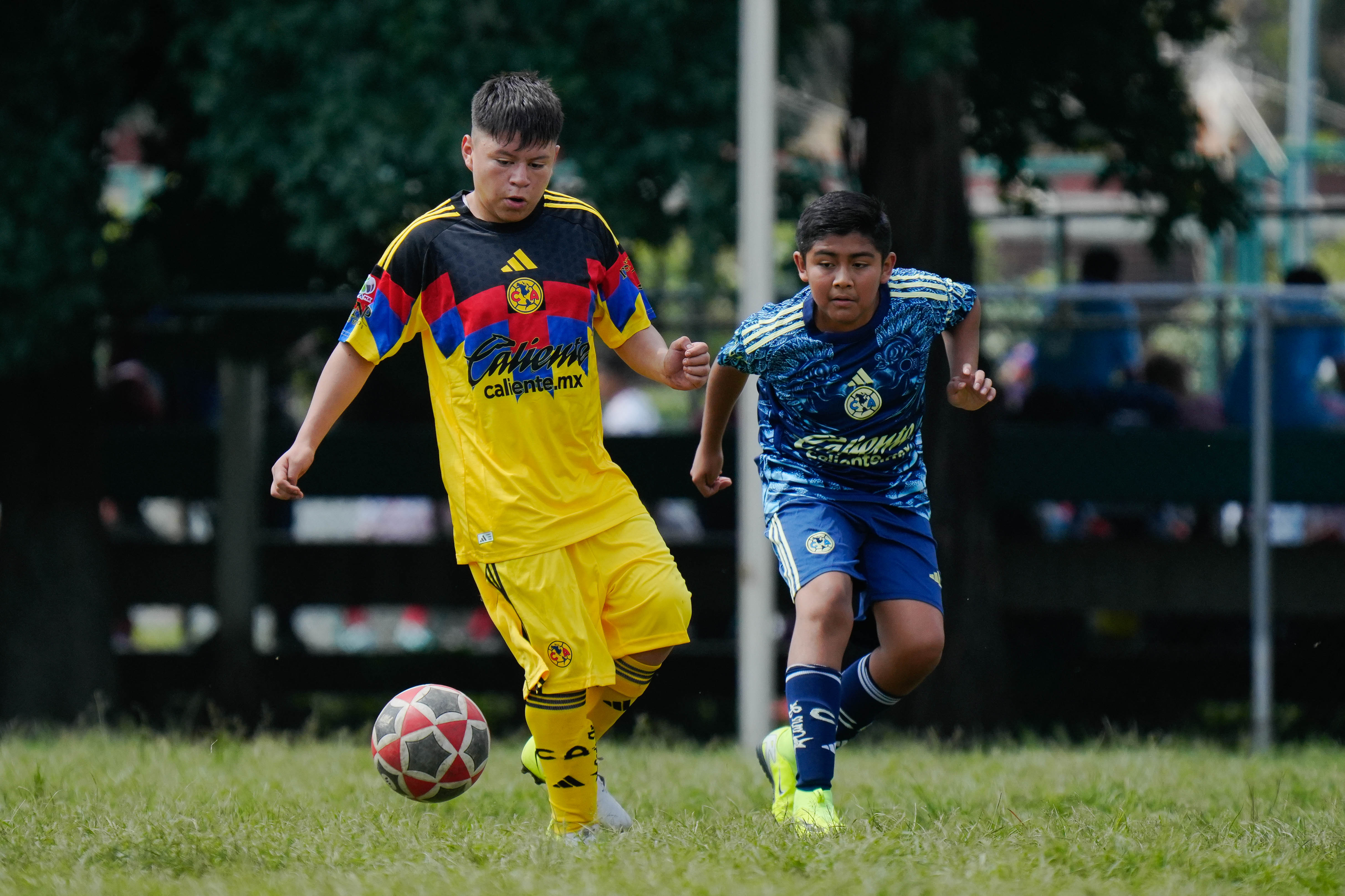 J3 PL - Academia Águilas Brian Rodríguez vs Aguilitas MH / 2012-13