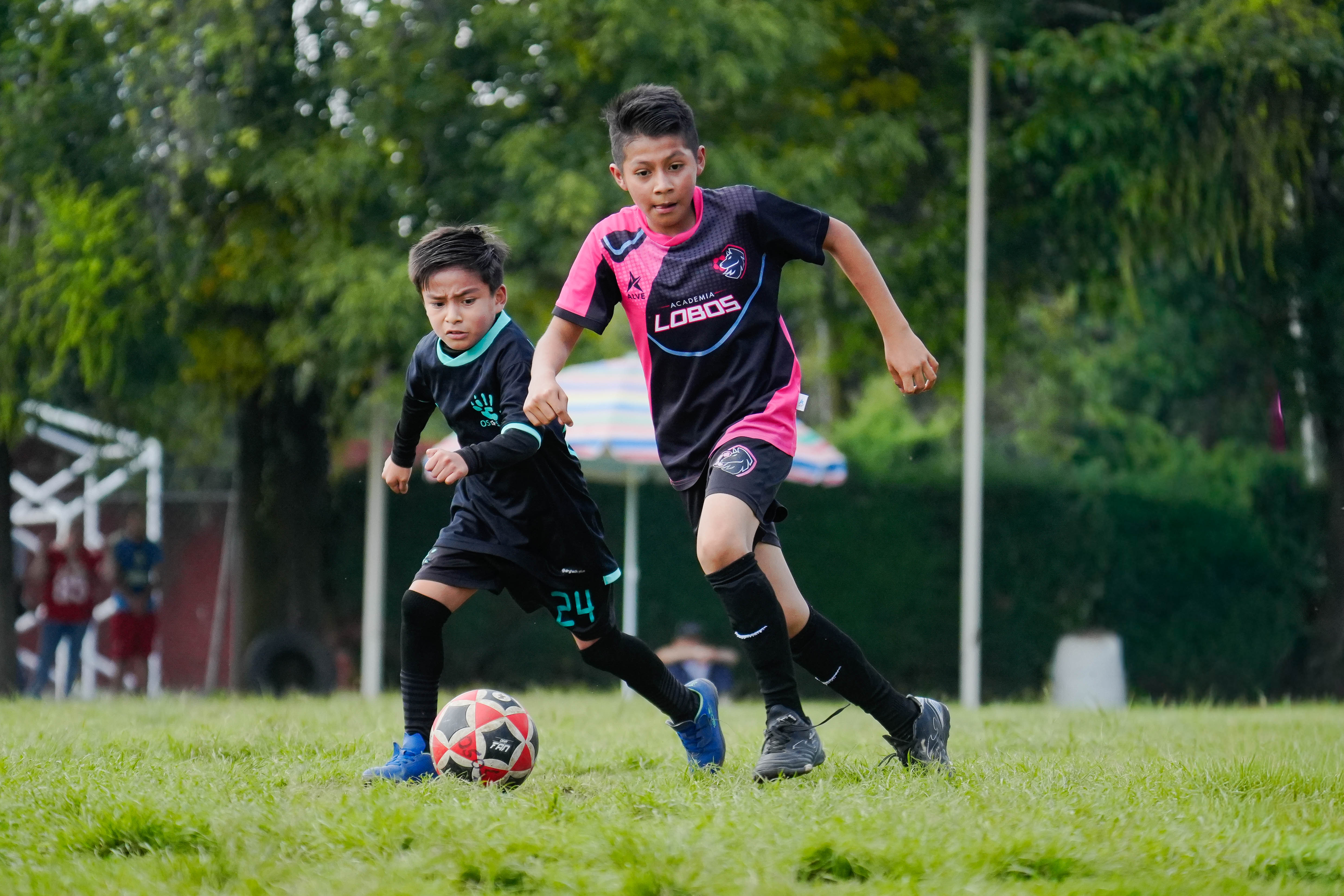 J3 PL - Academia Lobos vs Osos F.C. Aqua / 2014-15