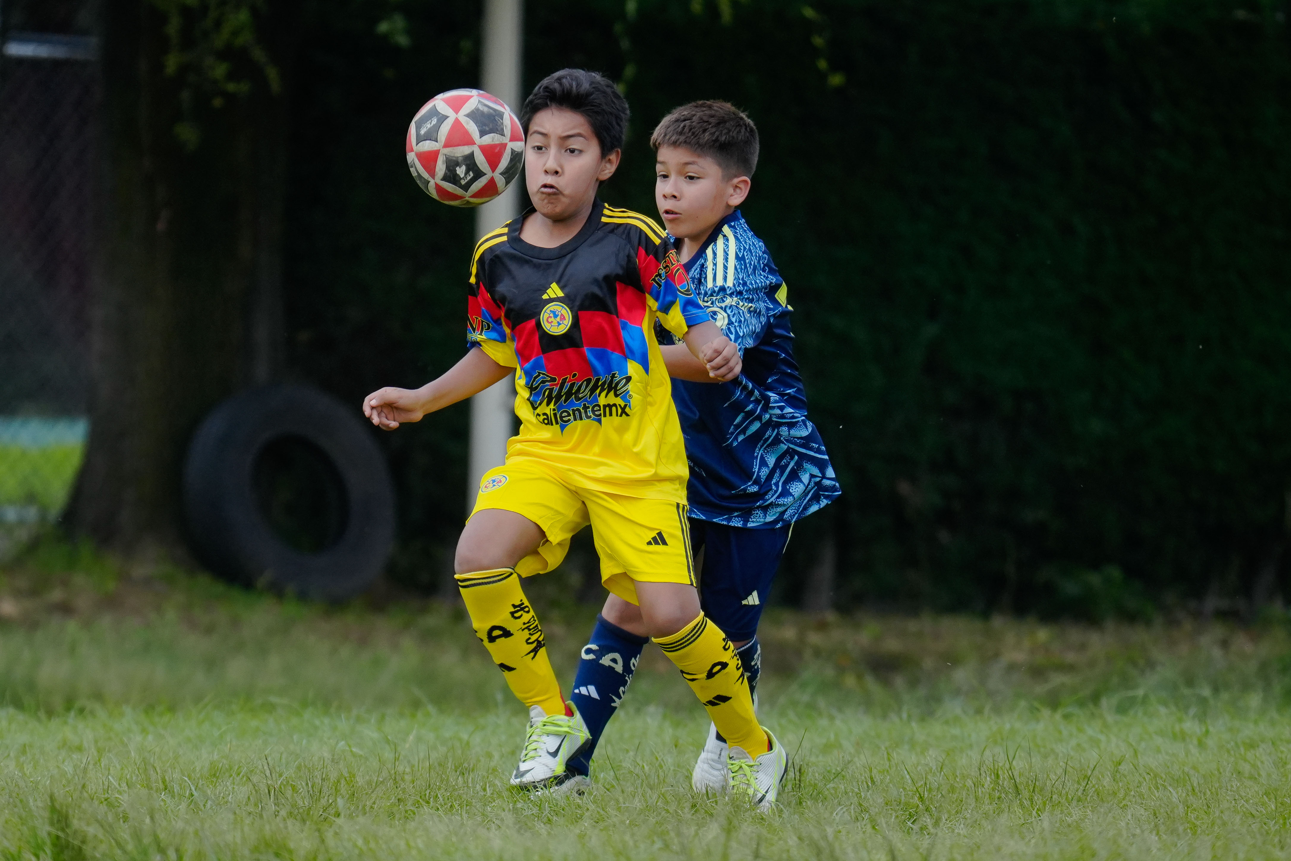 J3 PL - Águilitas MH vs Academia Águilas / 2014-15