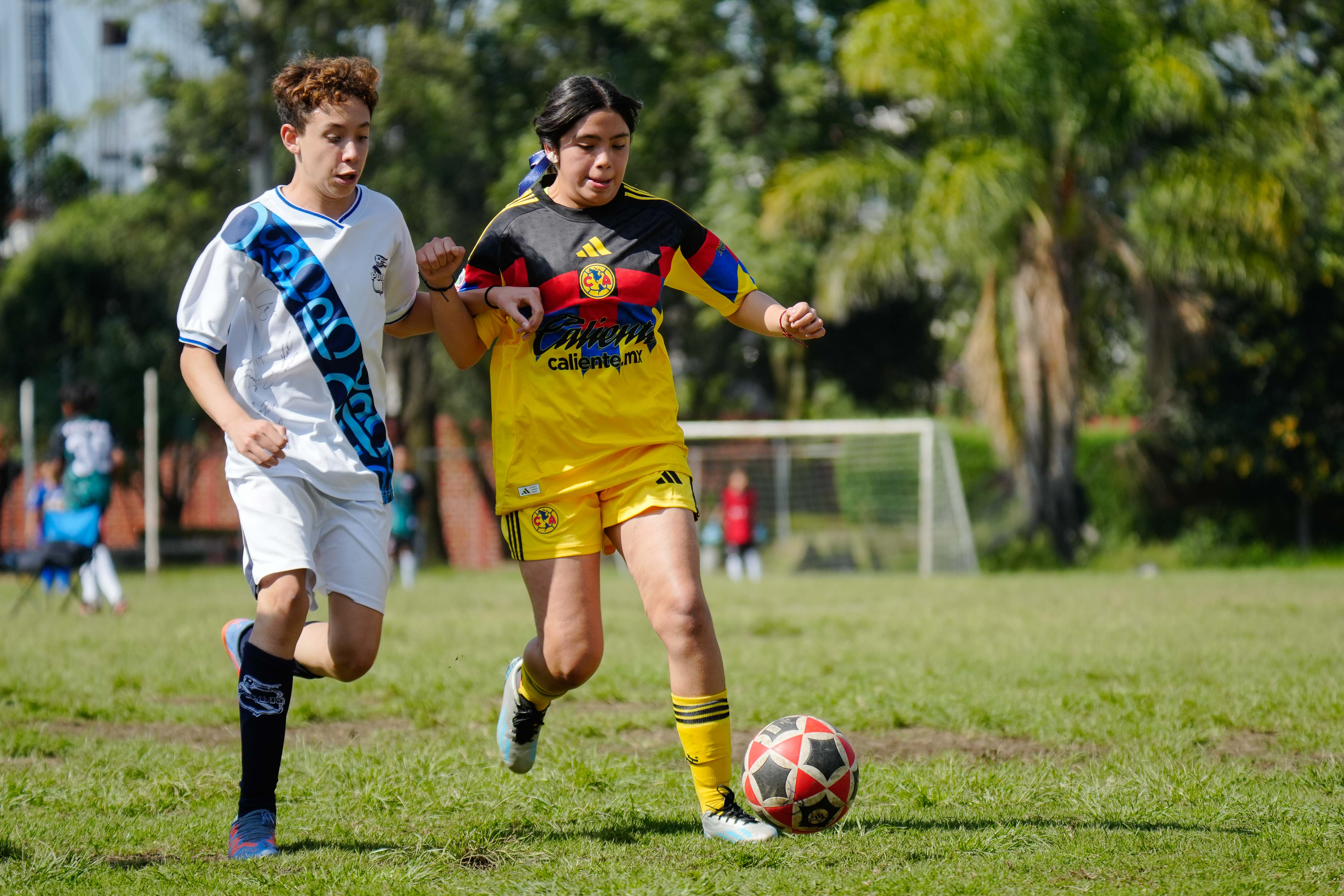 J3 PL - Puebla Azcapotzalco vs Academia Águilas Zendejas / 2012-13