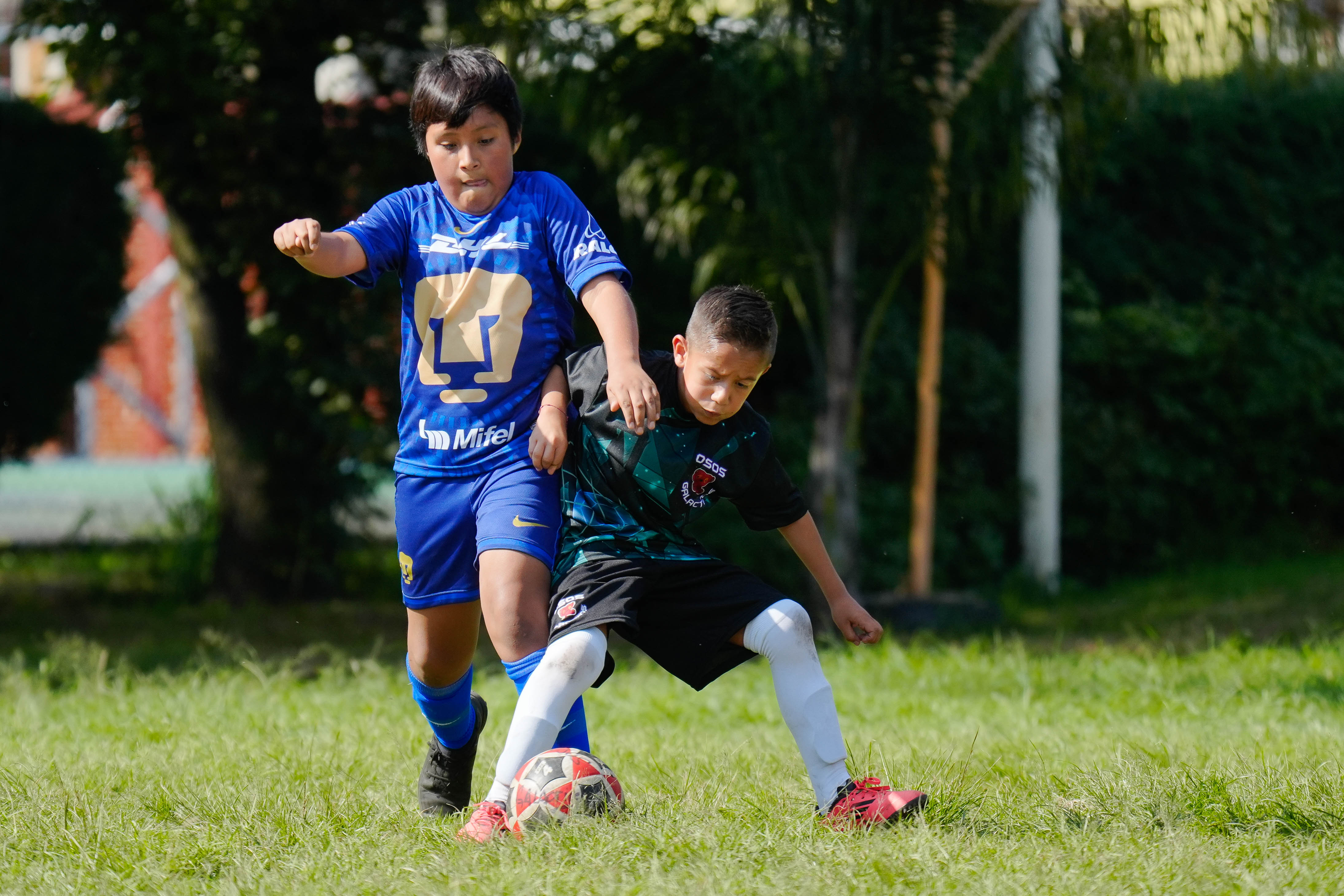 J3 PL - CEFOR Pumas VR vs Osos Galácticos / 2014-15