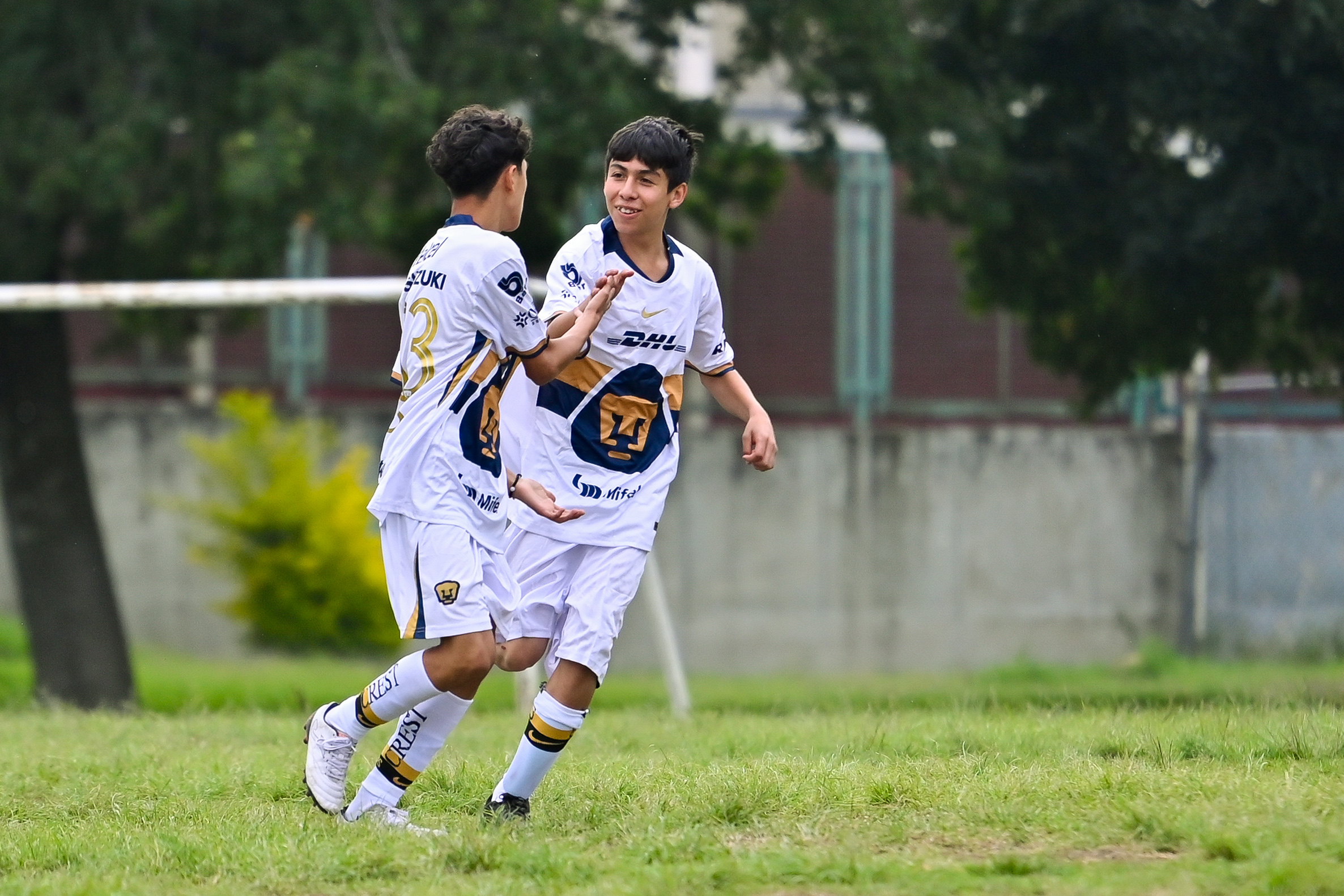J4 PL - CEFOR Pumas VR vs IPAE / 2008-09