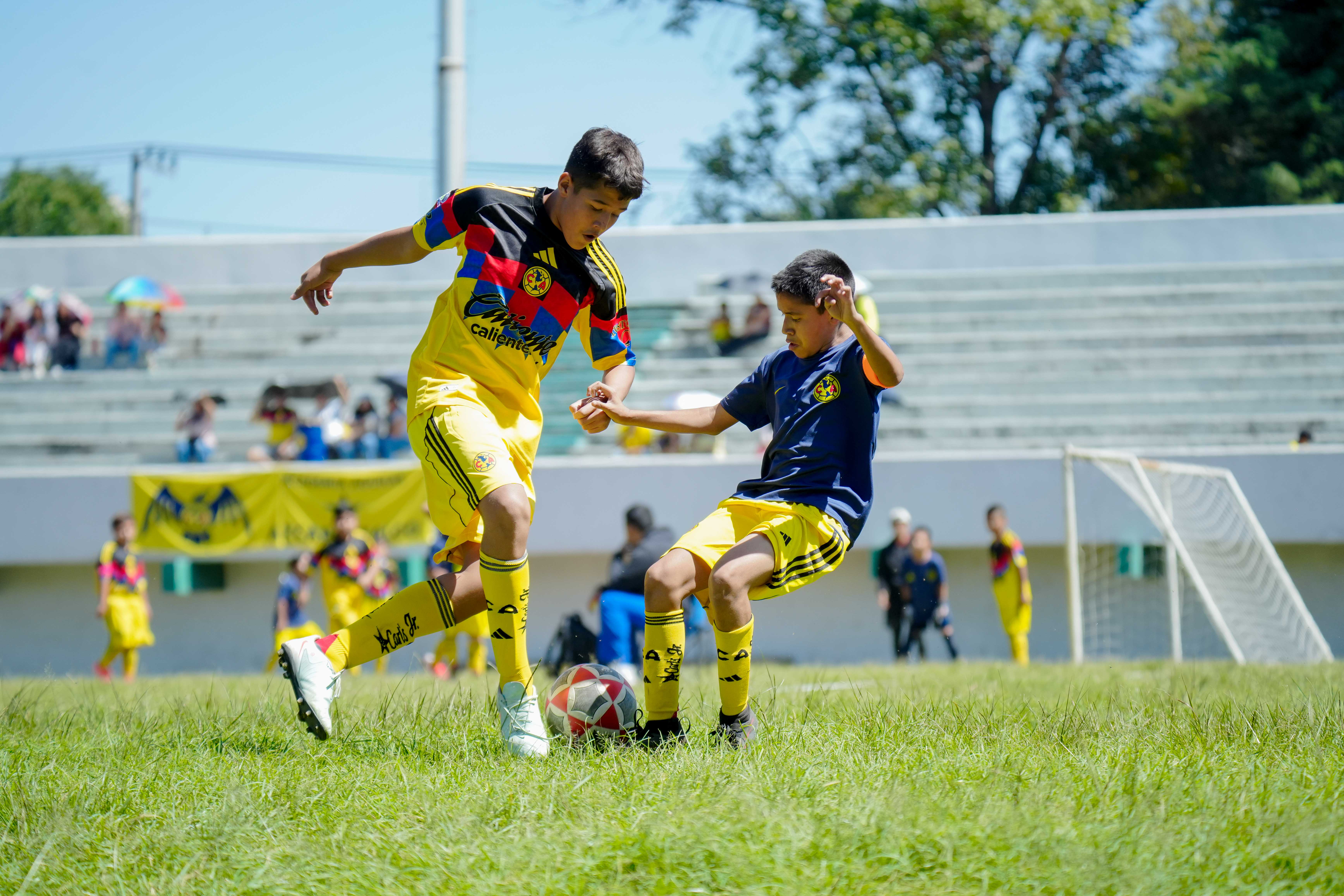 J4 PL - Academia Águilas Zendejas vs Águilas Azcapotzalco / 2012-13