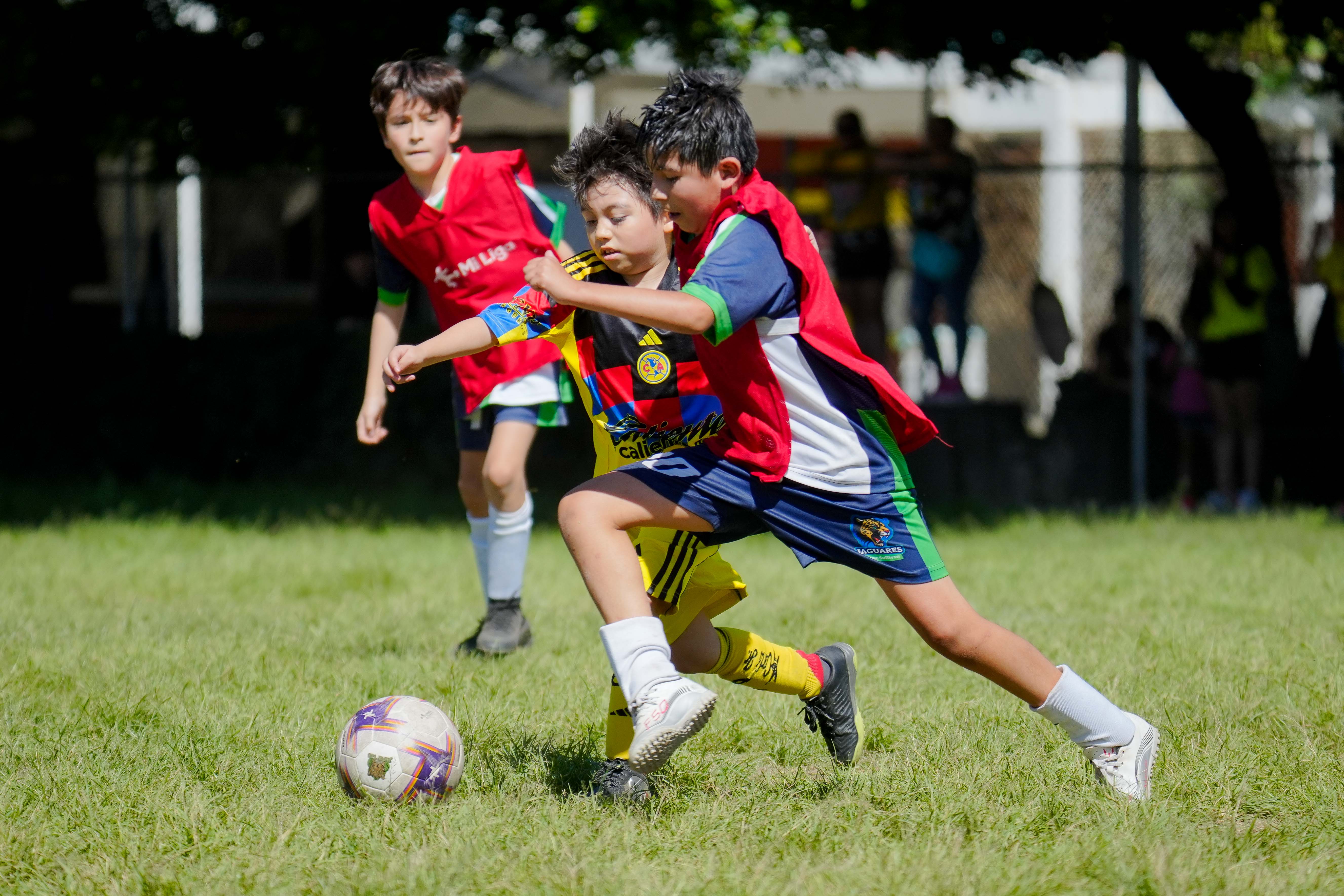 J4 PL - Jaguares Anne Sullivan vs Águilas Azcapotzalco / 2016-17