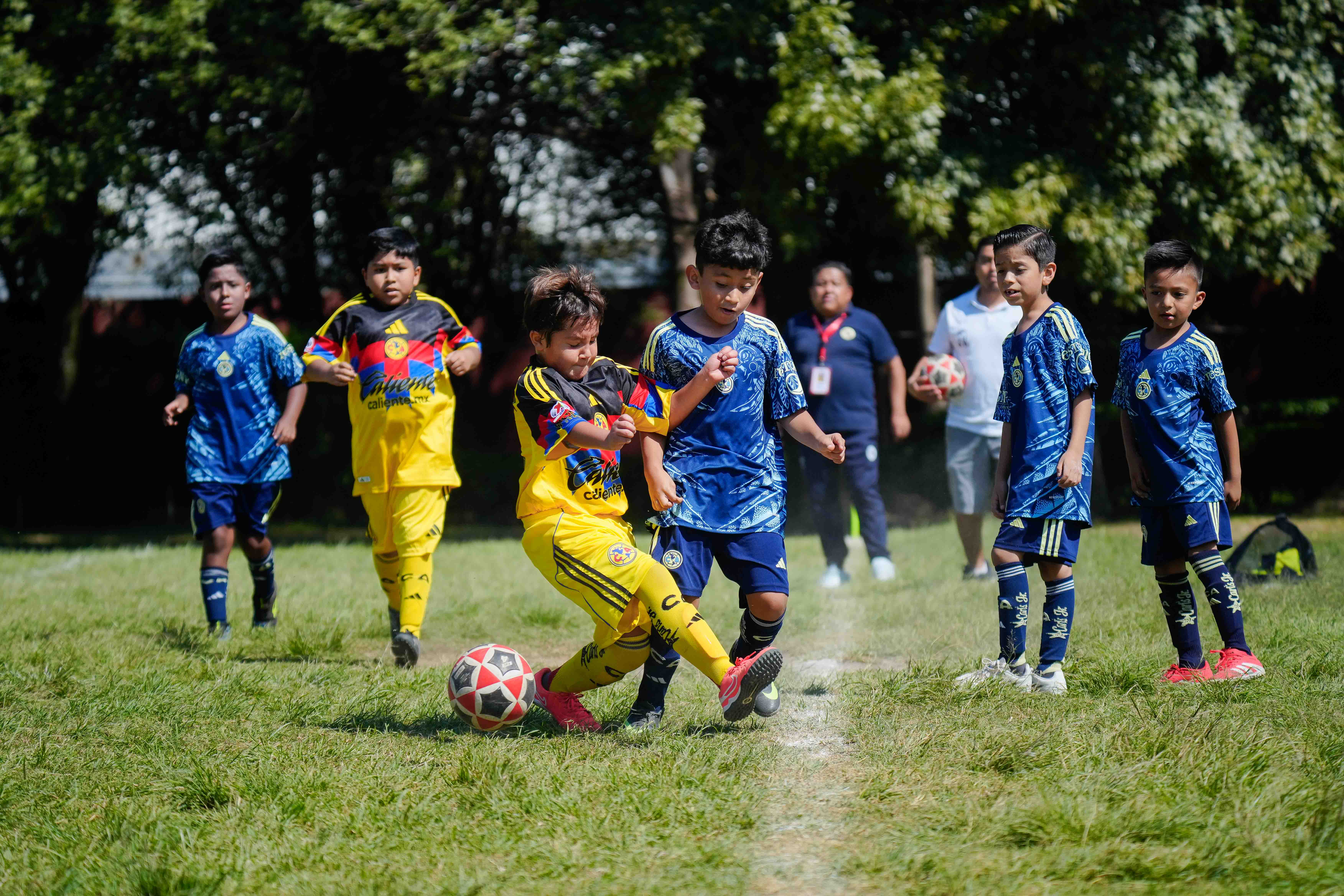 J5 PL - Aguilitas MH vs Academia Águilas Fidalgo / 2016-17