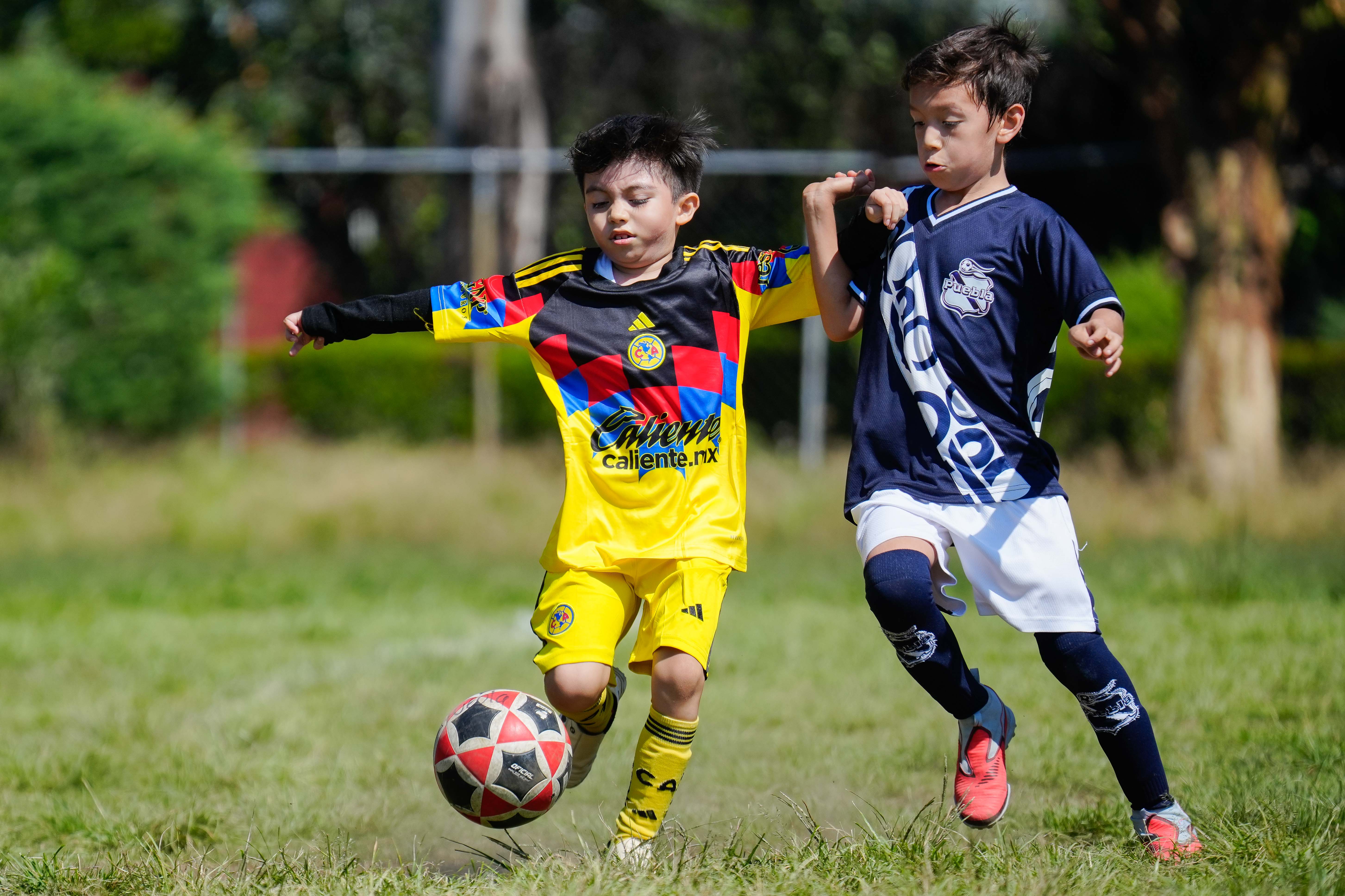 J5 PL - Águilas Azcapotzalco vs Puebla Azcapotzalco / 2016-17