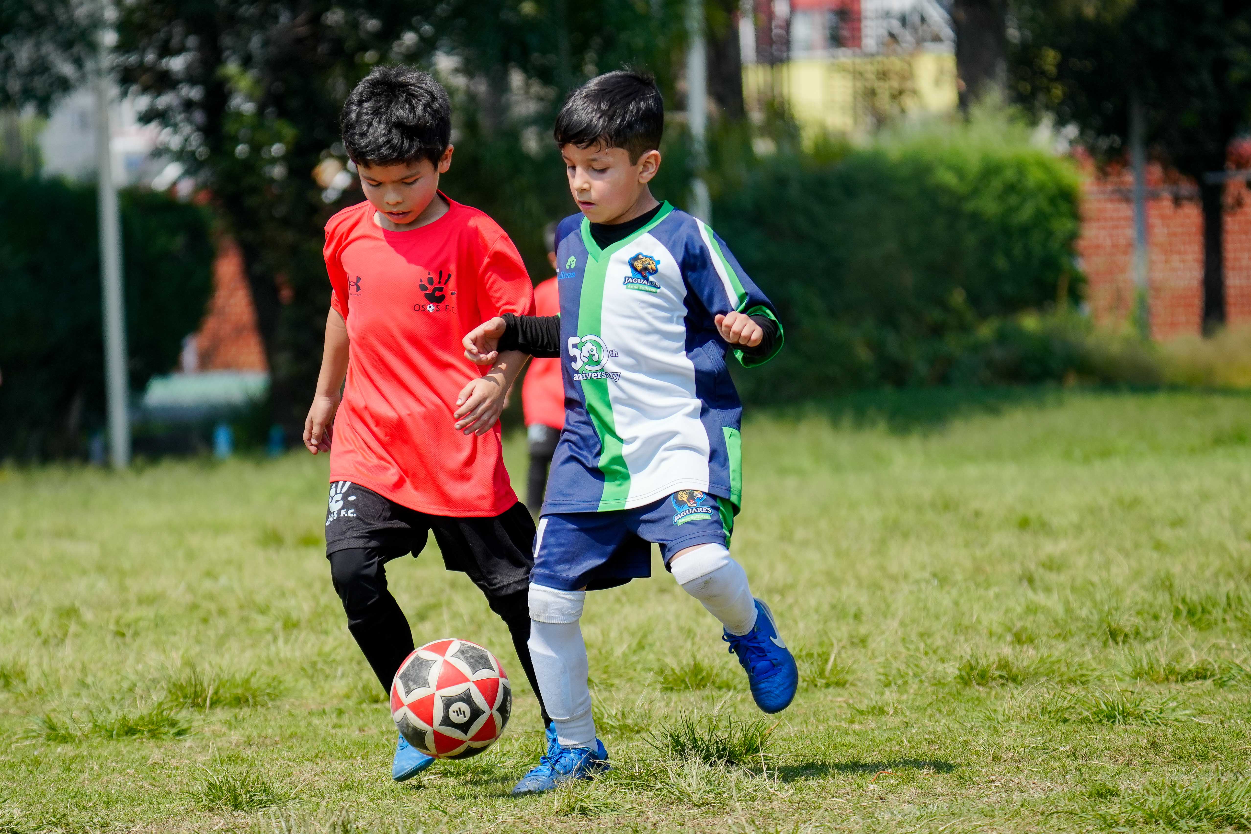 J5 PL - Jaguares Anne Sullivan vs Osos F.C. / 2016-17