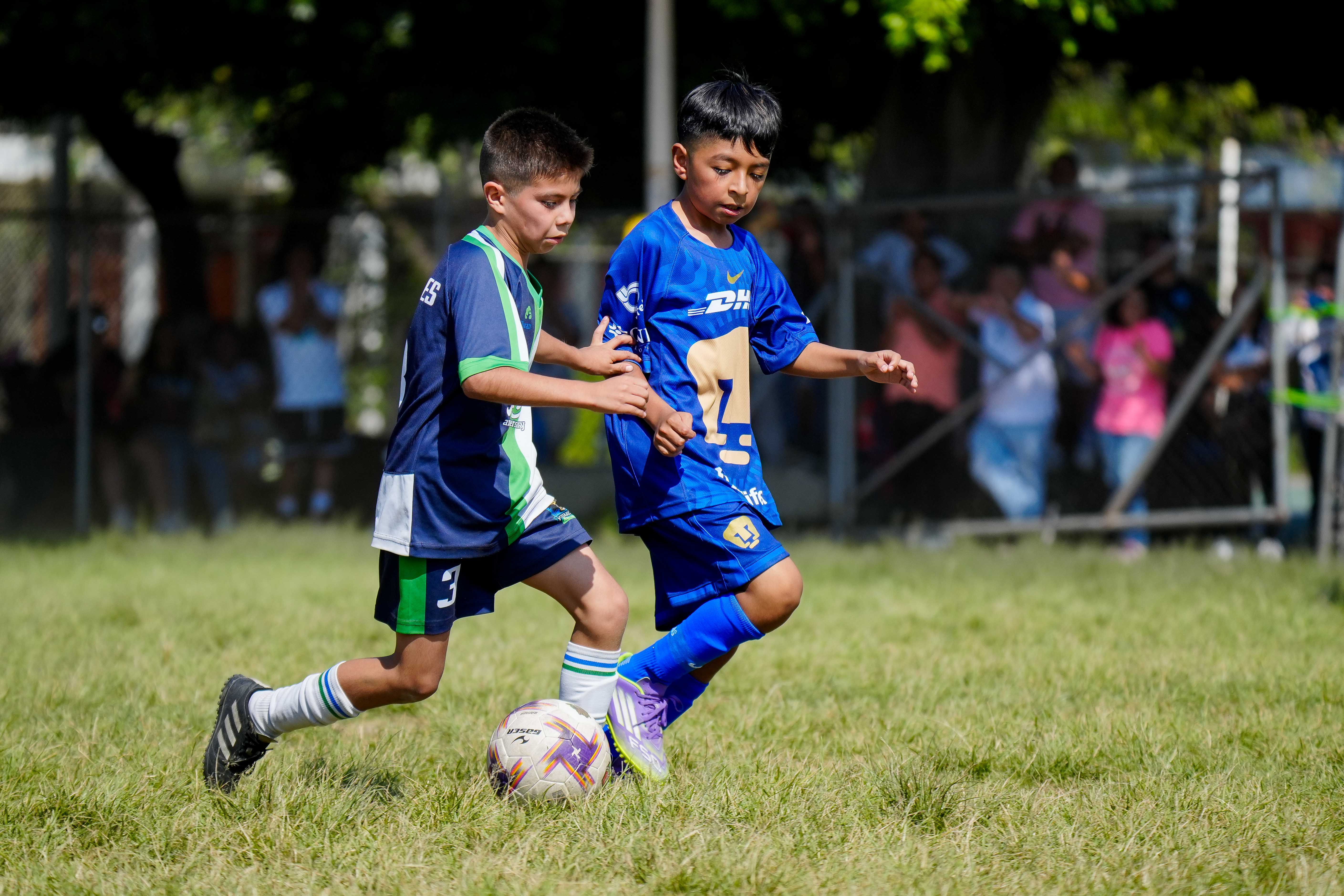 J5 PL -  CEFOR Pumas VR vs Jaguares Anne Sullivan / 2014-15