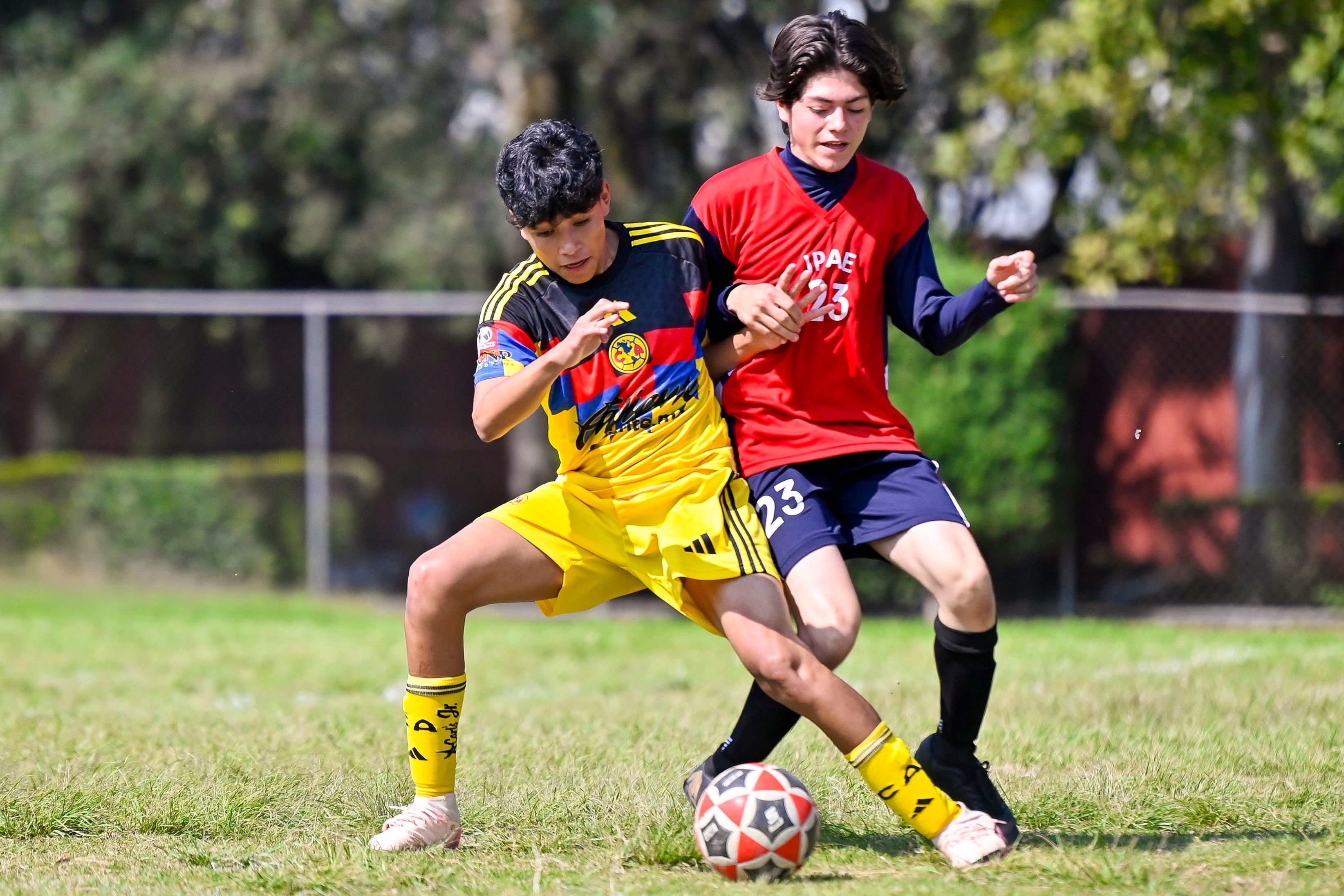 J5 PL - IPAE vs Academia Águilas / 2008-09