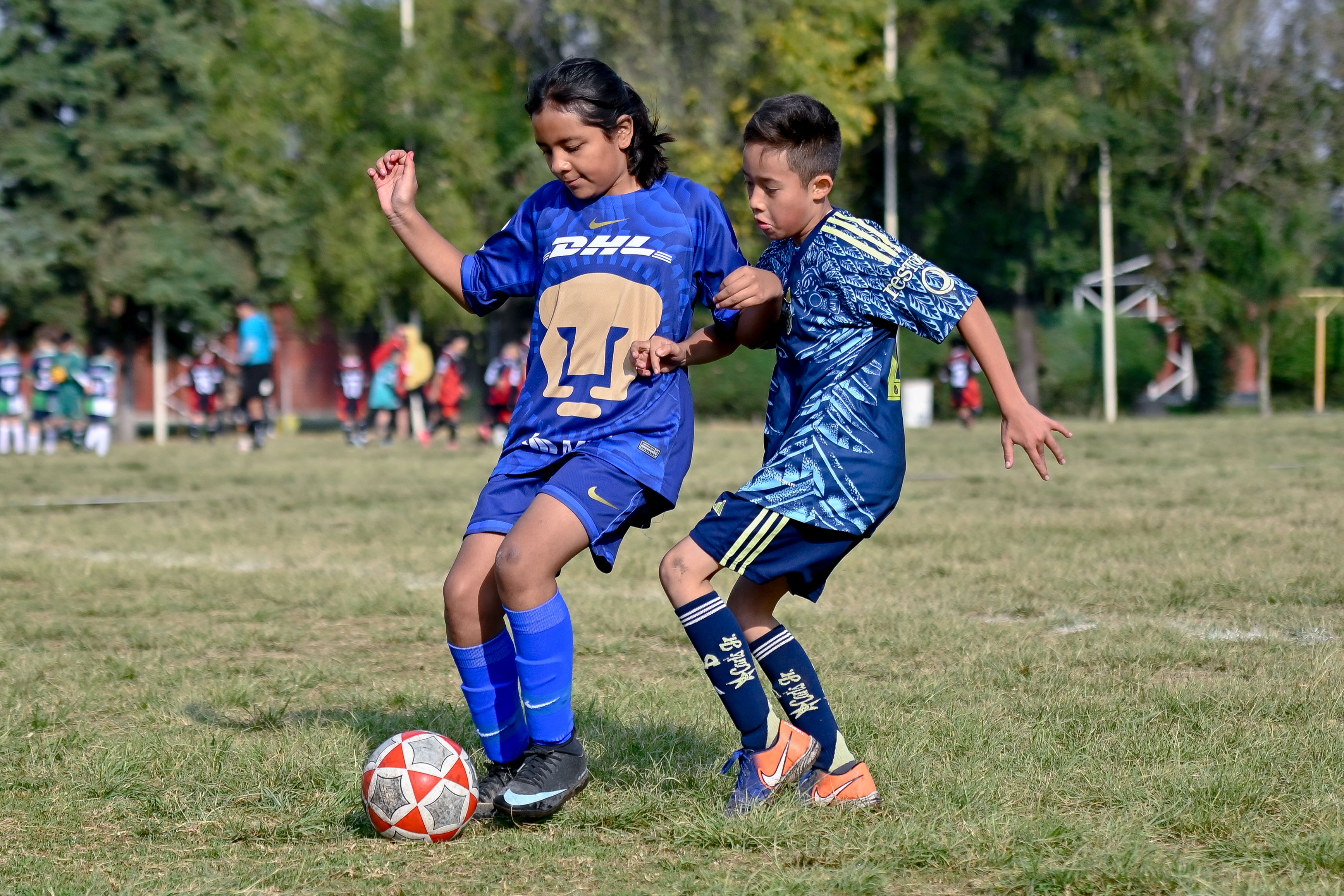 J6 PL - Aguilitas MH vs CEFOR Pumas VR / 2014-15