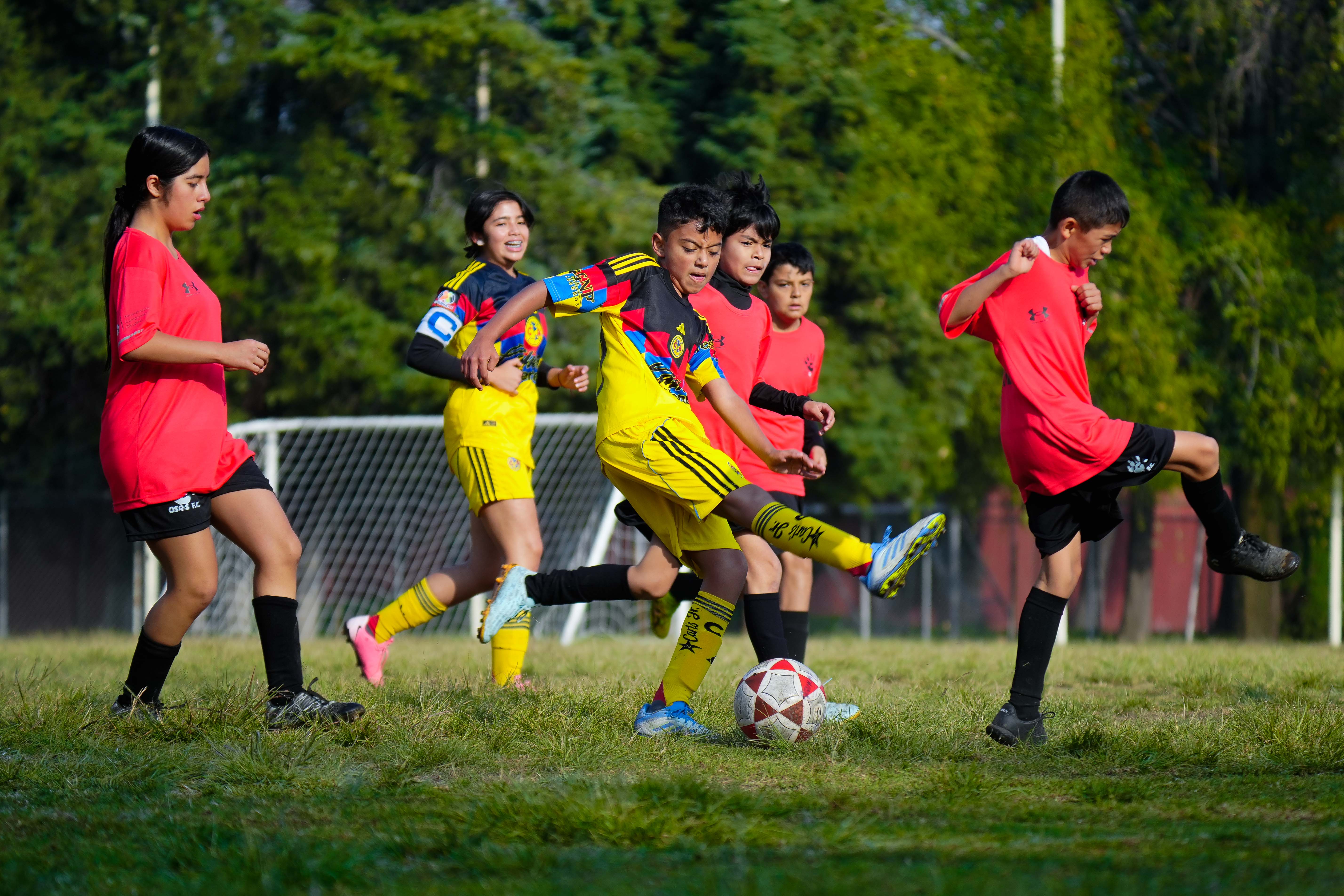 J6 PL - Academia Águilas Zendejas vs Osos F.C. / 2012-13
