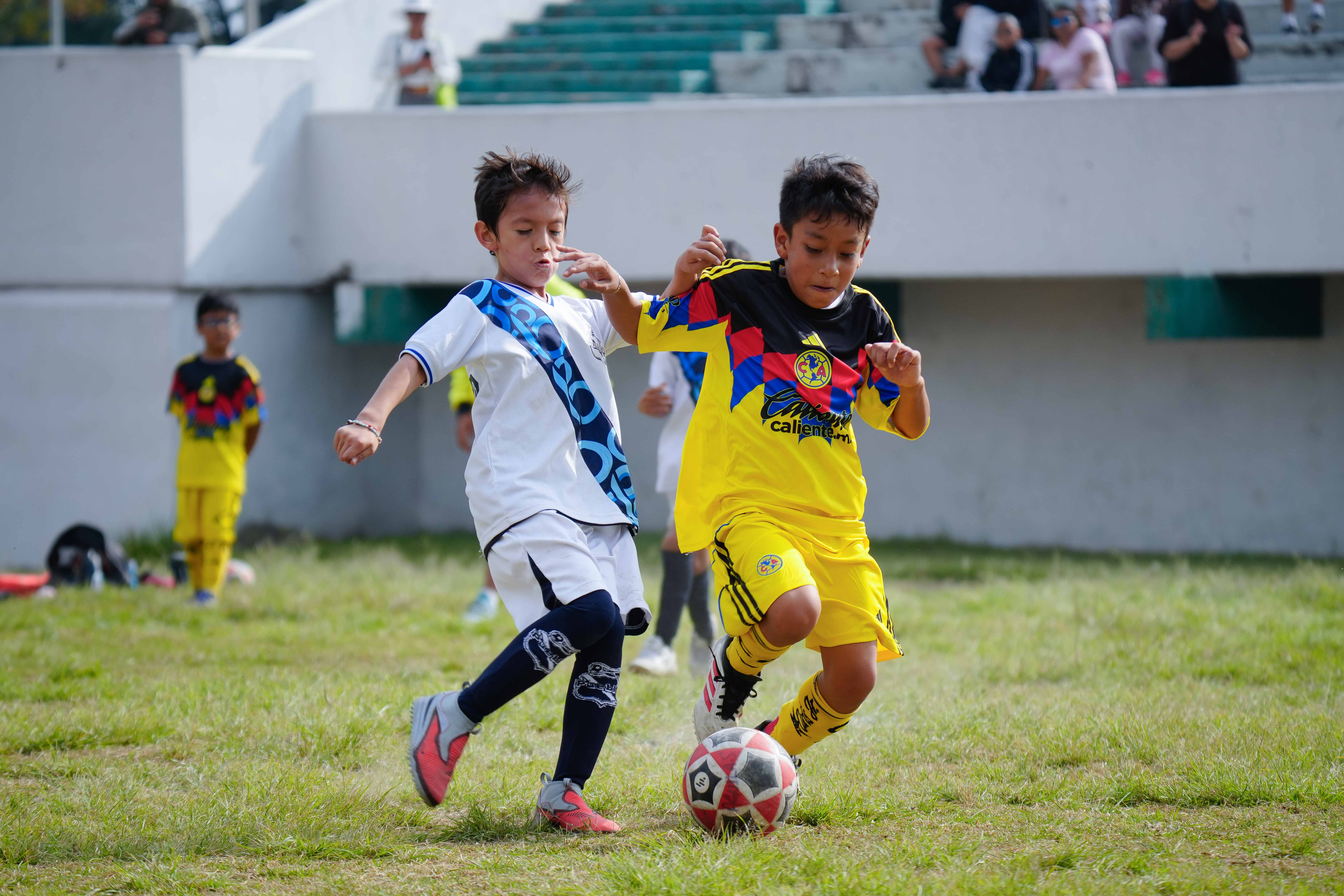 J6 PL - Academia Águilas Malagón vs Puebla Azcapotzalco / 2016-17