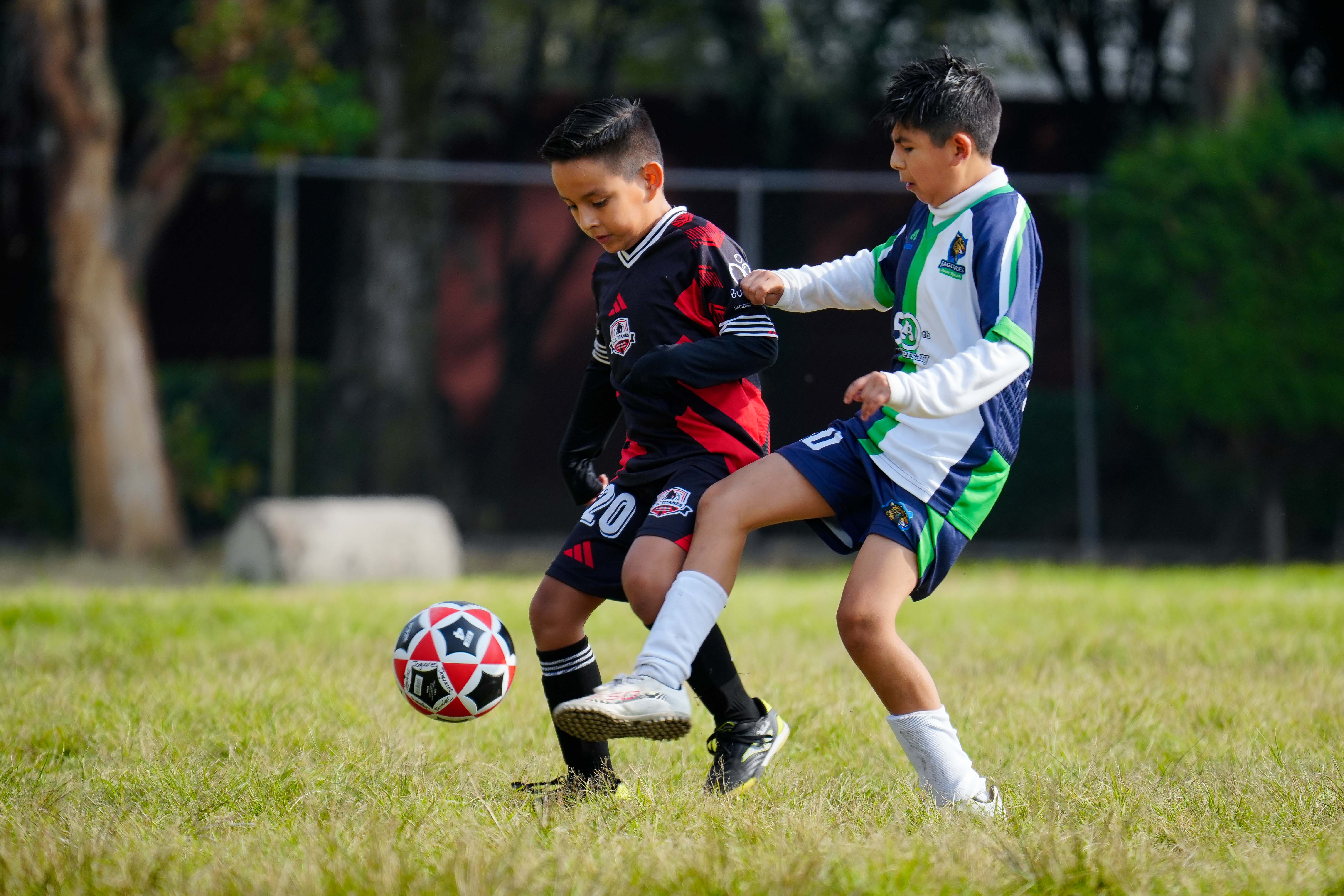 J6 PL - Jaguares Anne Sullivan vs FC Titanes / 2016-17