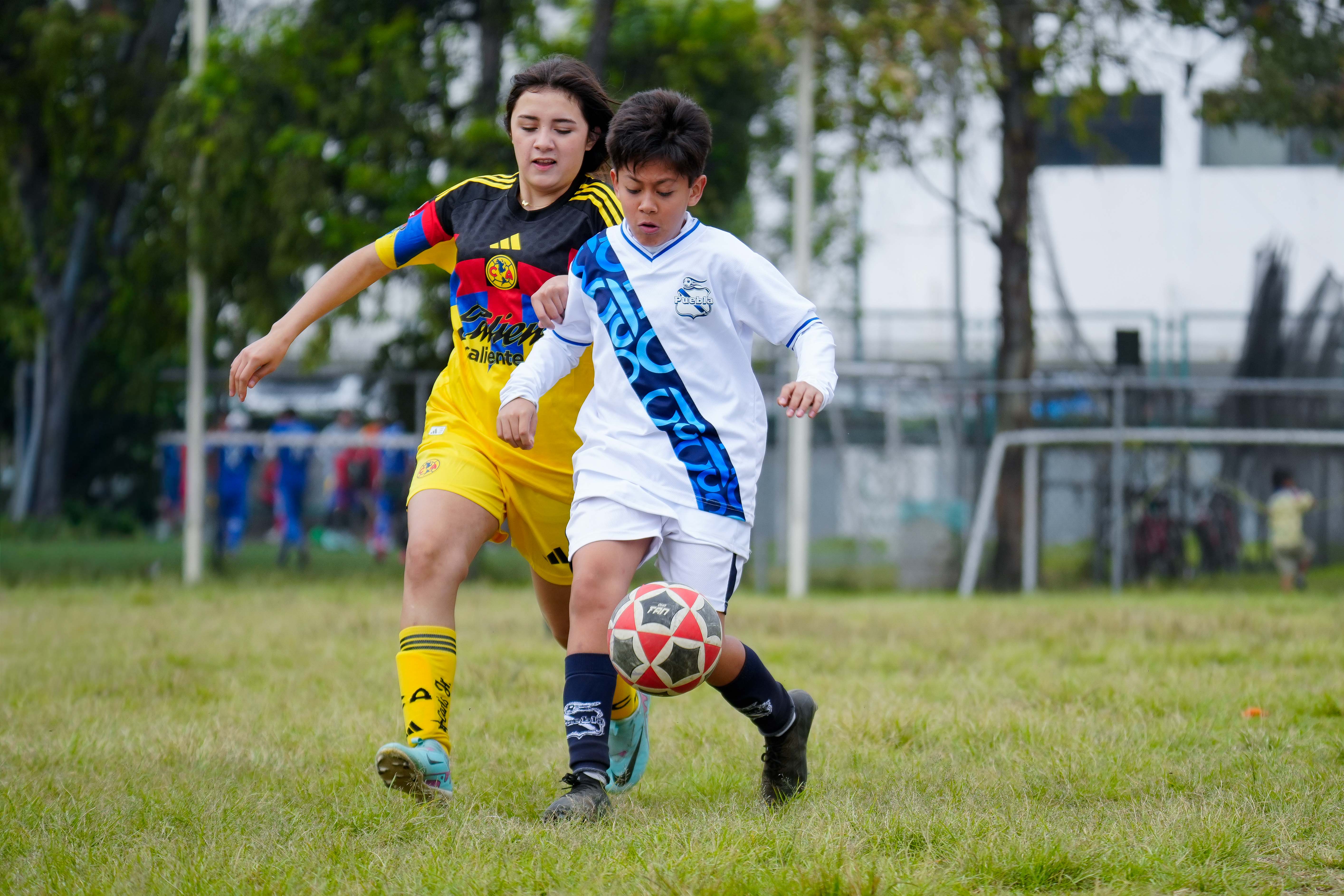 J6 PL - Puebla Azcapotzalco vs Academia Águilas Brian Rodríguez / 2012-13