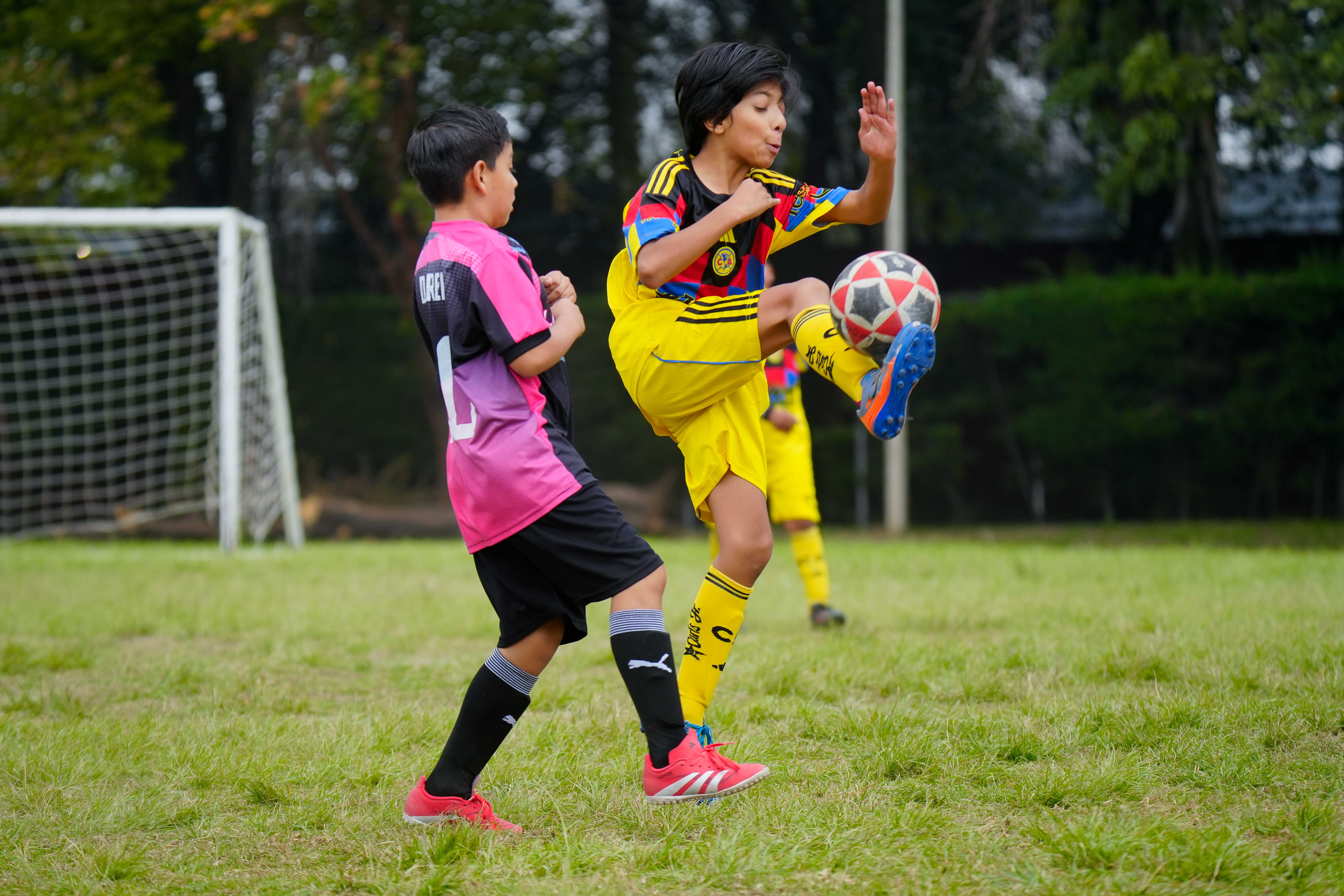 J6 PL - Academia Águilas vs Academia Lobos / 2014-15