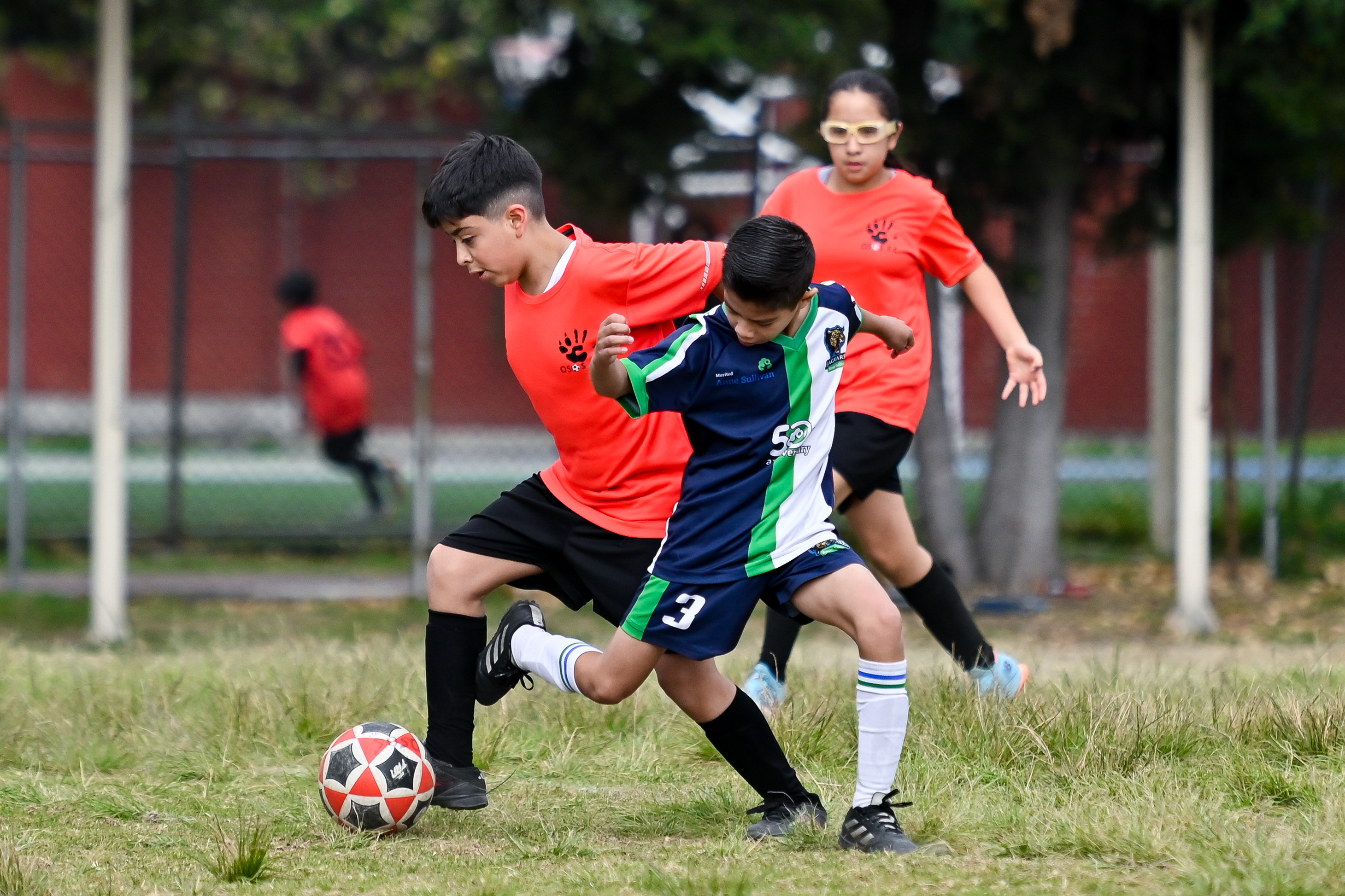 J6 PL - Jaguares Anne Sullivan vs Osos F.C. Negro / 2014-15