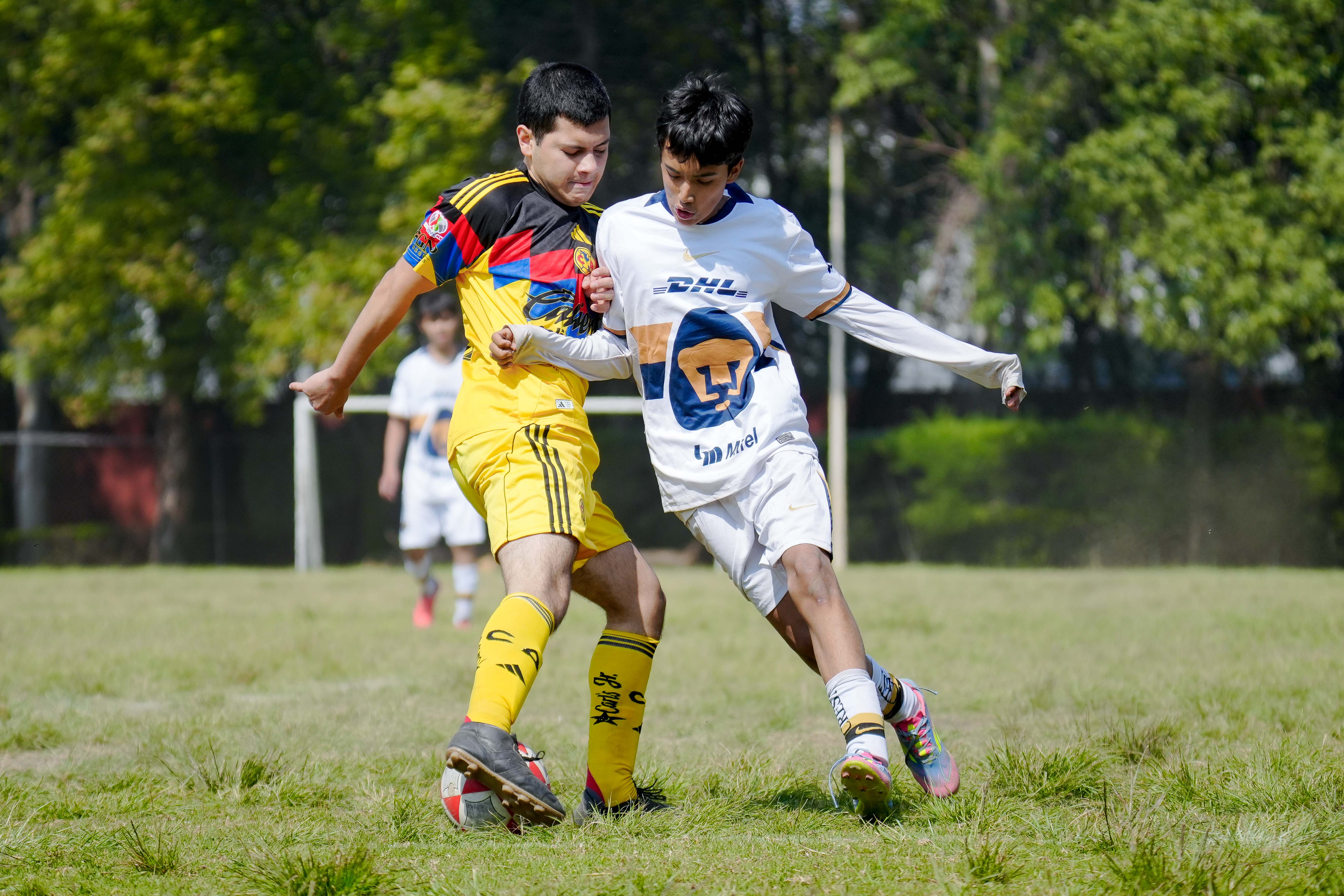 J6 PL - CEFOR Pumas VR vs Academia Águilas / 2008-09