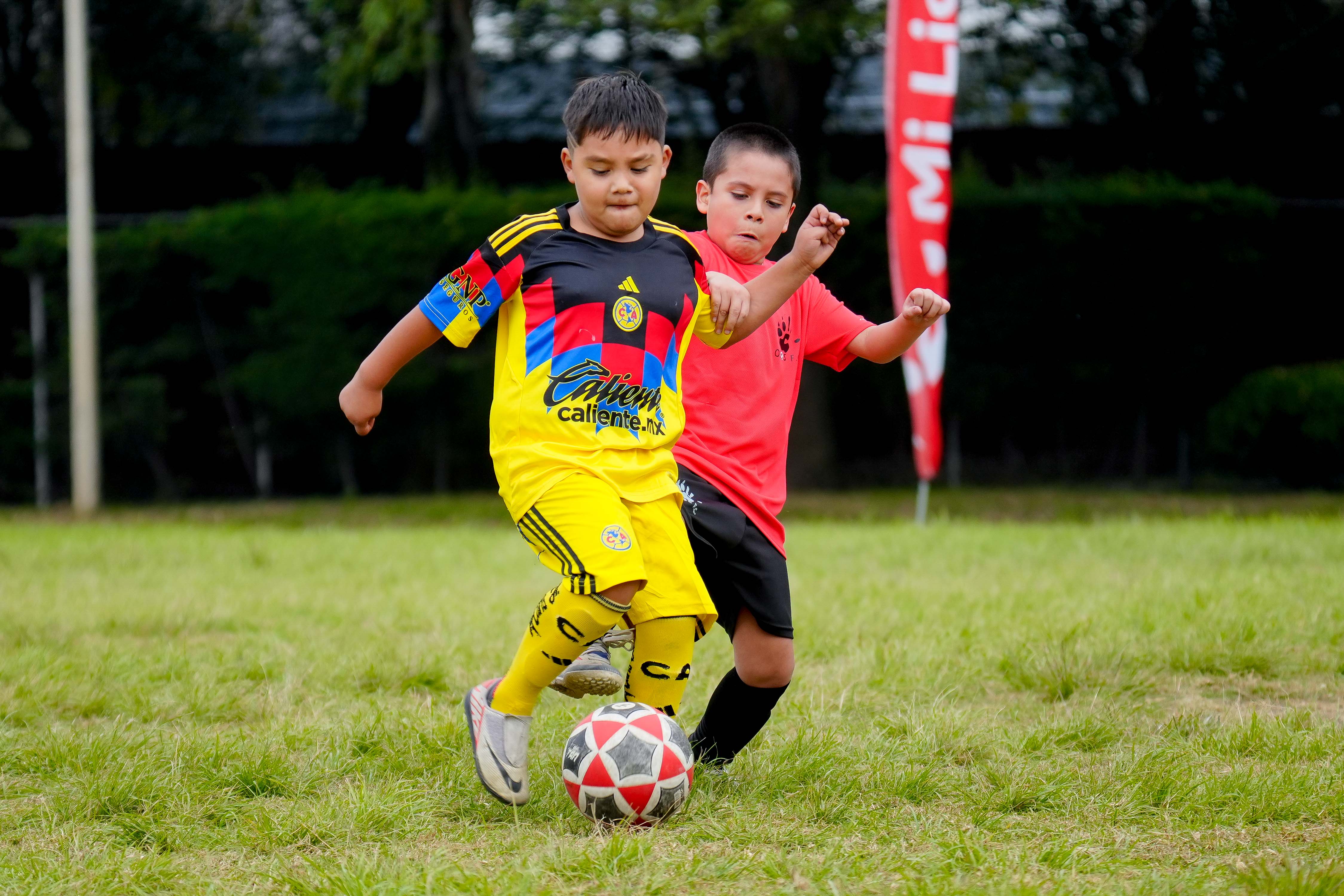 J6 PL - Academia Águilas Fidalgo vs Osos F.C. / 2016-17