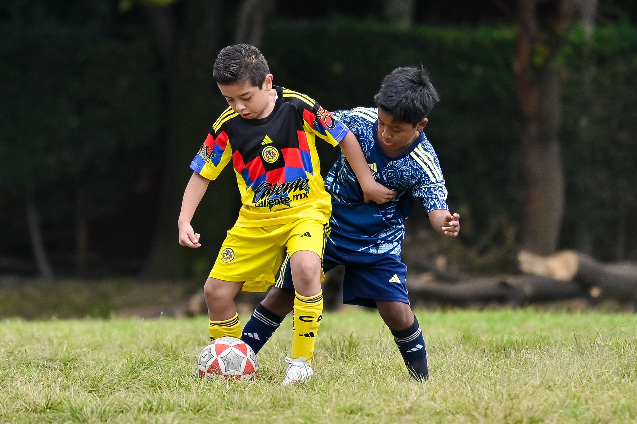 J6 PL - Aguilitas MH vs Águilas Azcapotzalco / 2016-17