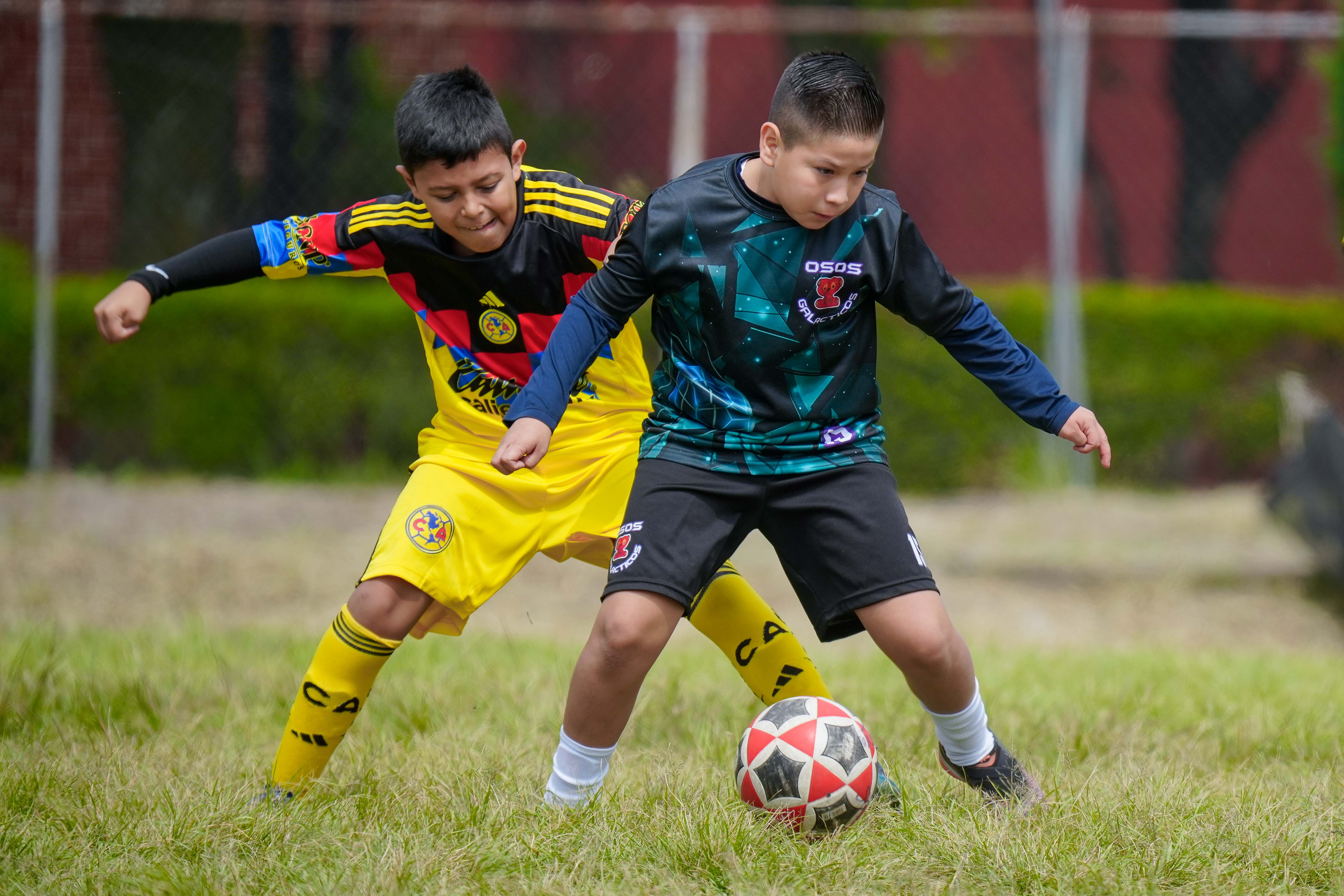 J6 PL - Osos Galácticos vs Águilas Azcapotzalco / 2014-15
