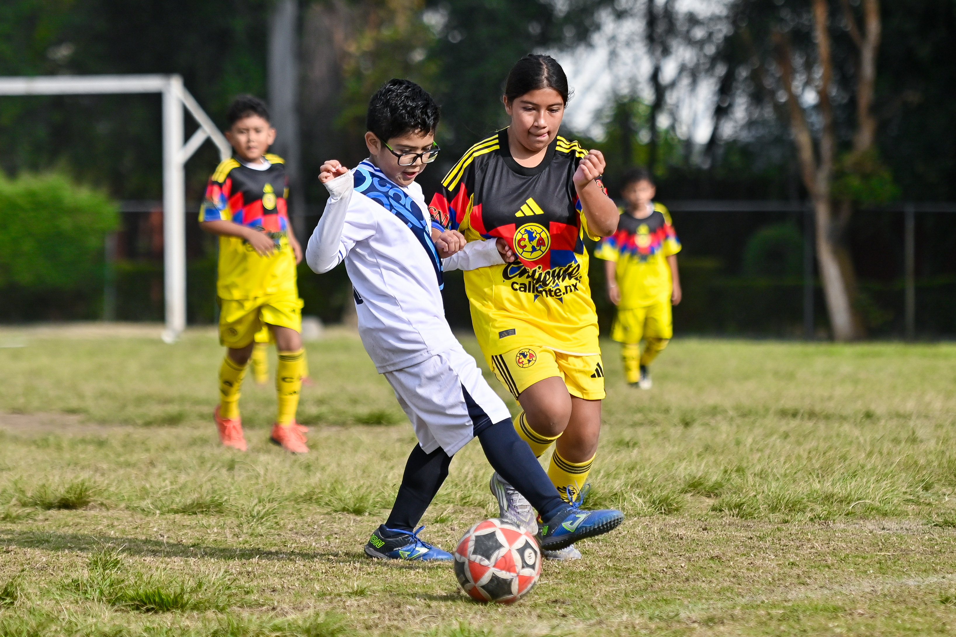 J6 PL - Academia Águilas Malagón vs Puebla Azcapotzalco / 2016-17