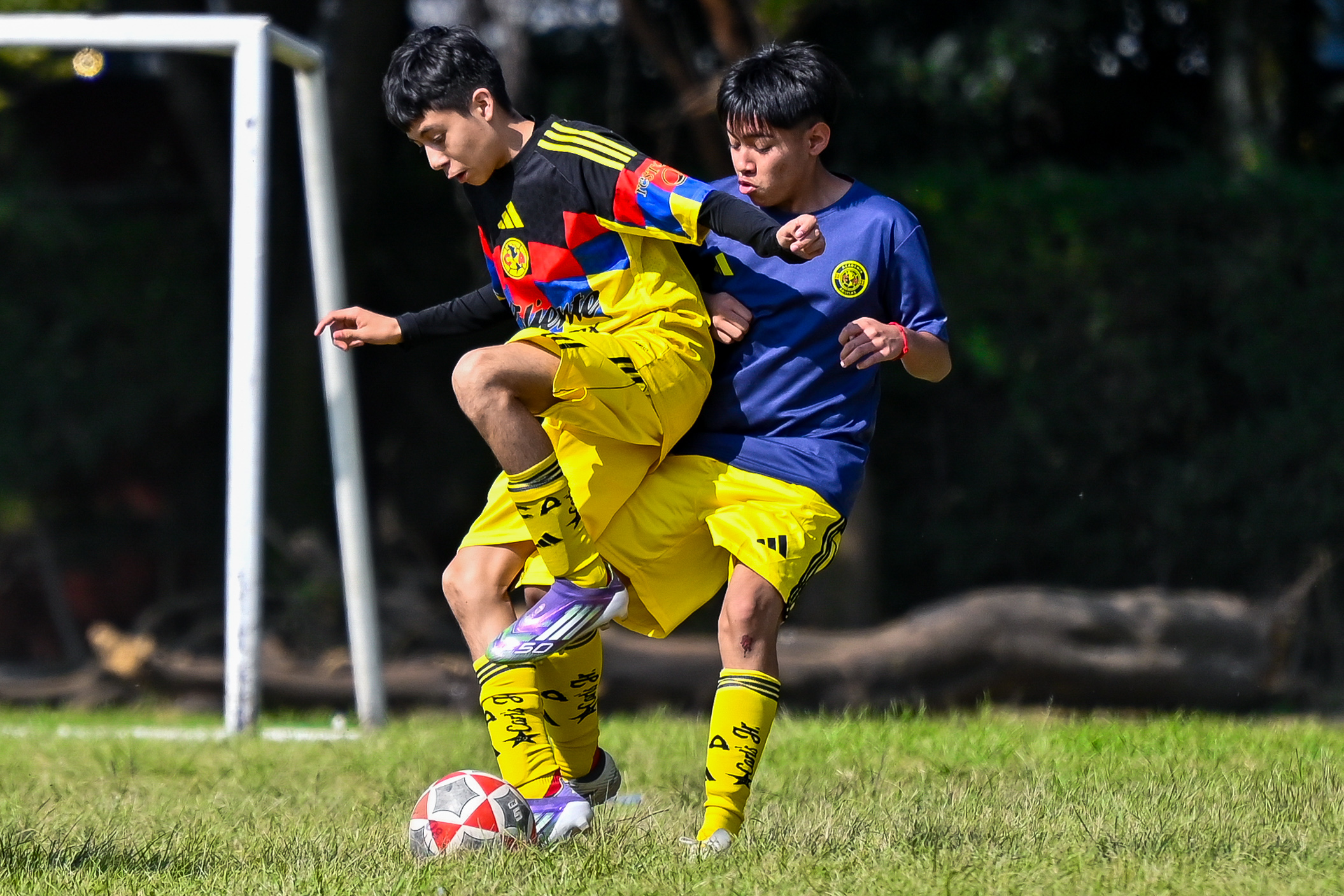 J6 PL - Águilas Azcapotzalco vs Academia Águilas / 2010-11