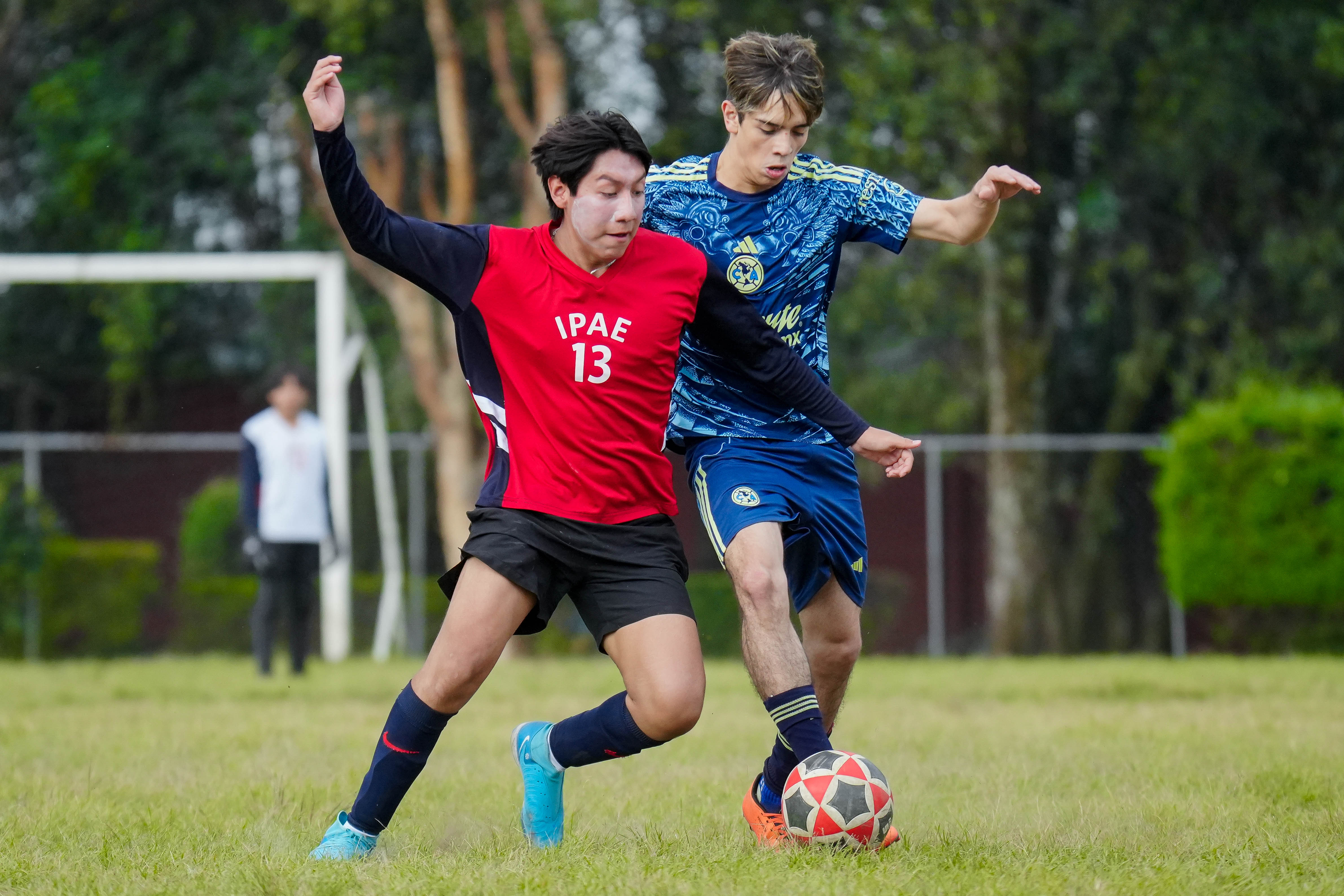 J6 PL - IPAE vs Aguilitas MH / 2018-19