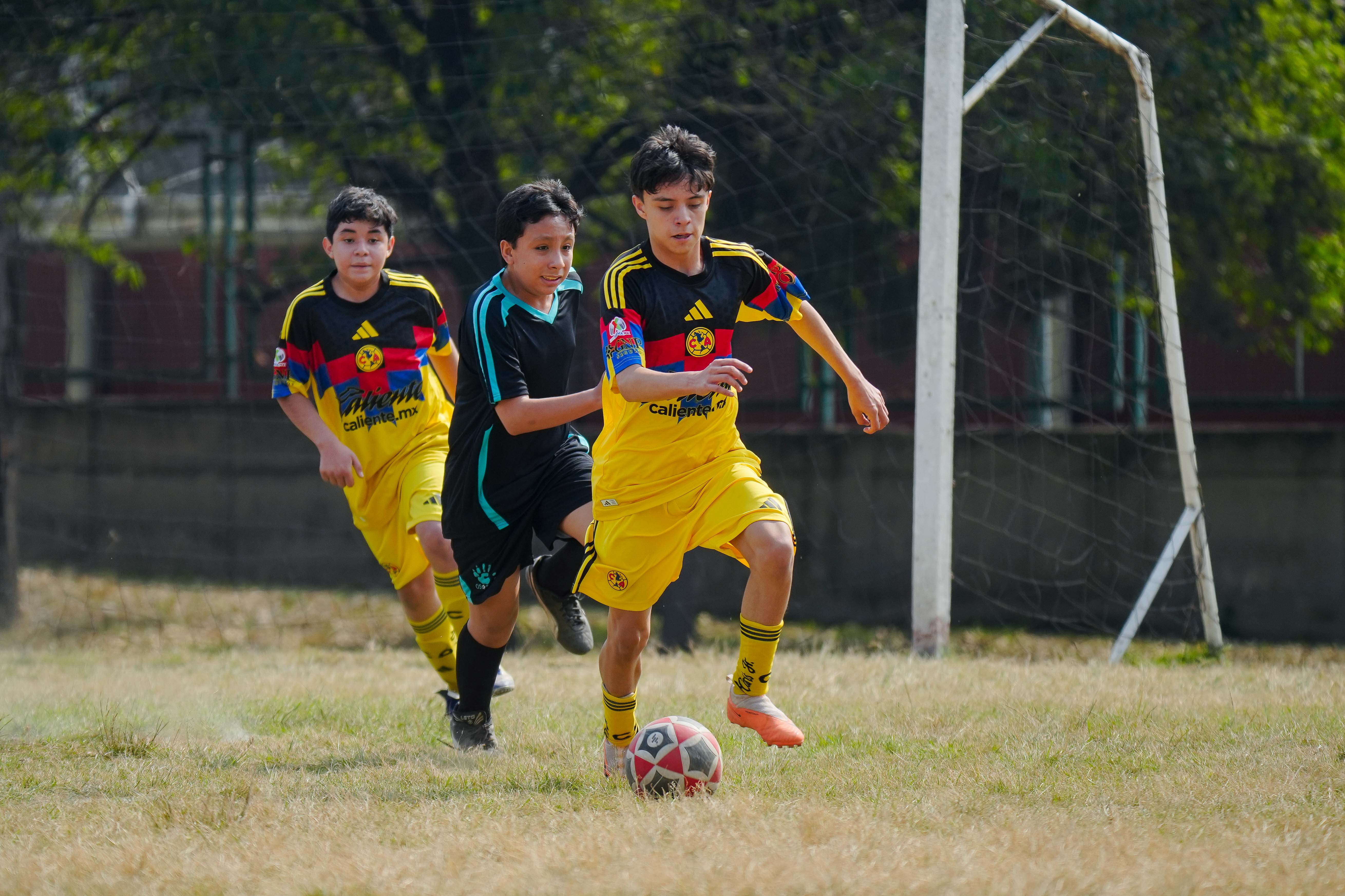 J10 PL - Osos F.C. vs Águilas Azcapotzalco / 2012-13