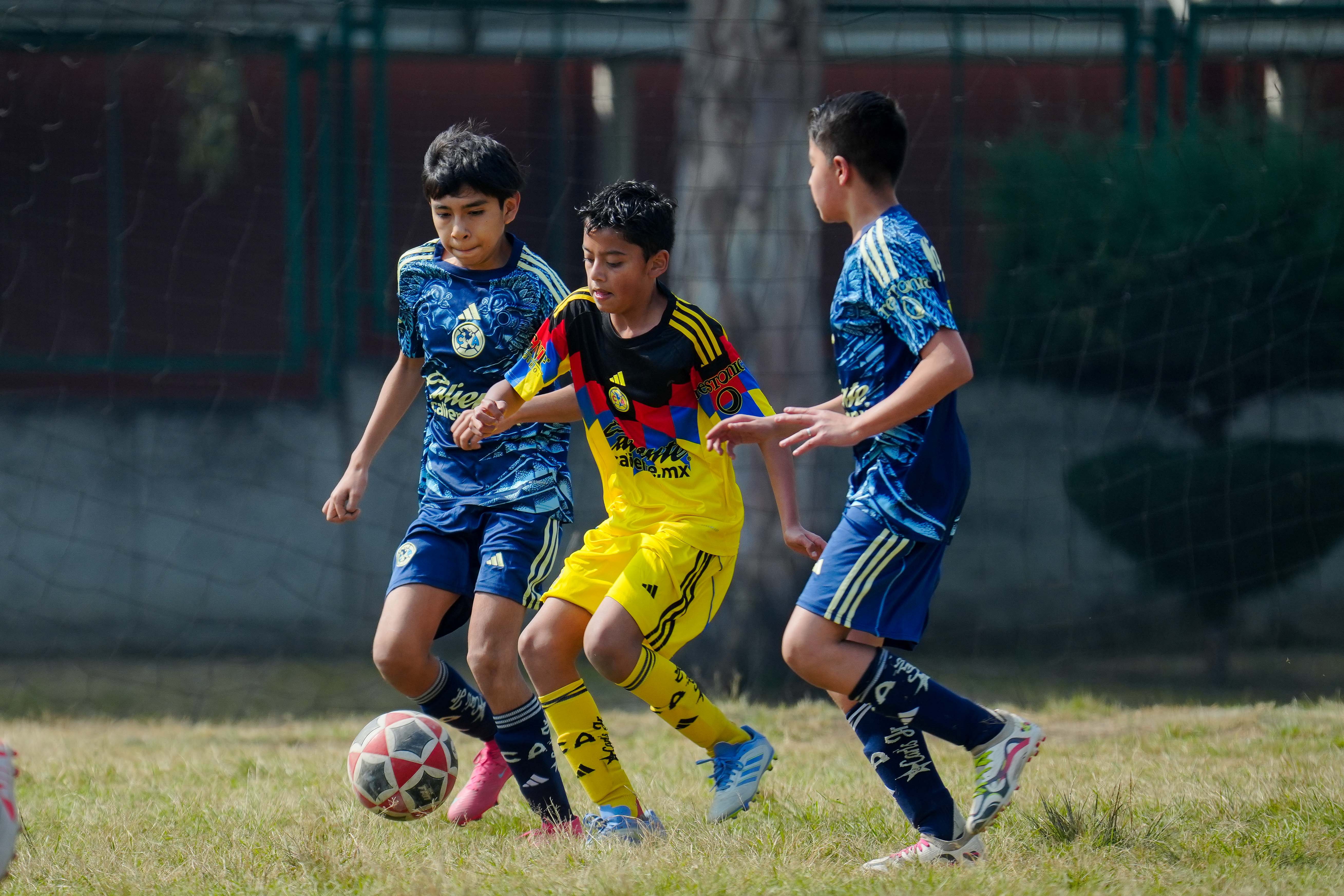 J10 PL - Academia Águilas Zendejas vs Aguilitas MH / 2012-13