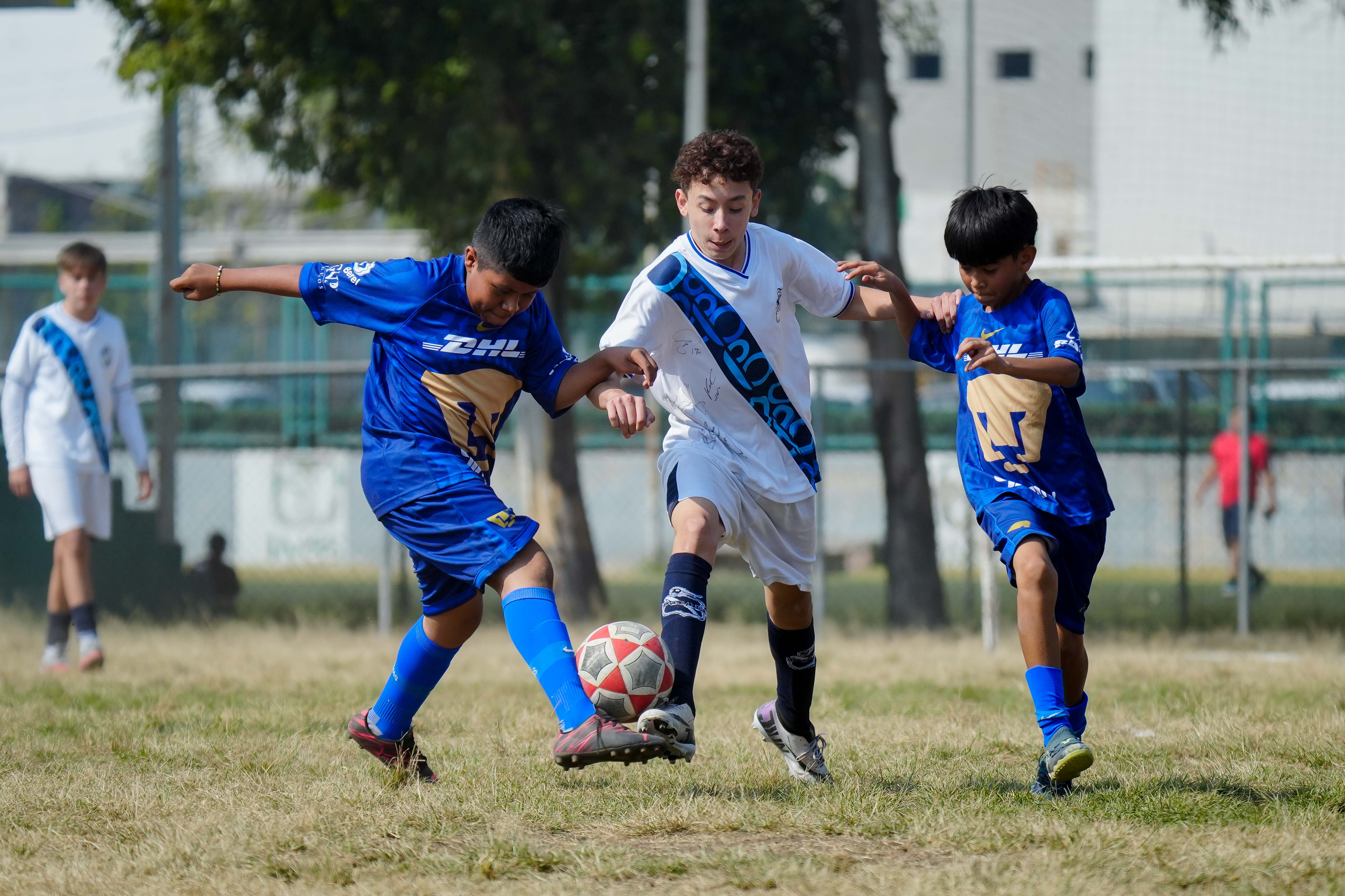 J10 PL - CEFOR Pumas VR vs Puebla Azcapotzalco / 2012-13