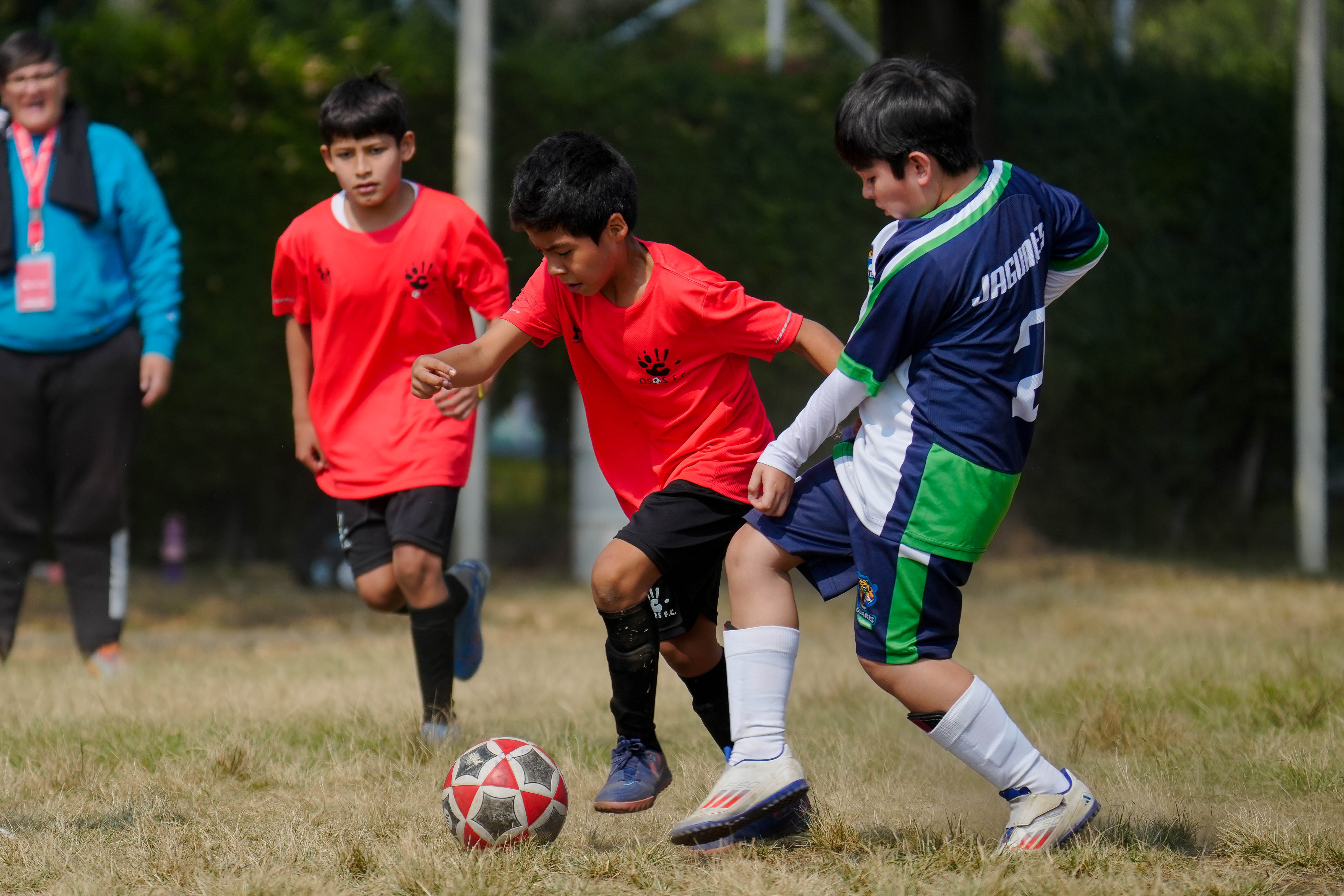 J10 -  PL Osos F.C. Aqua vs Jaguares Anne Sullivan / 2014-2015