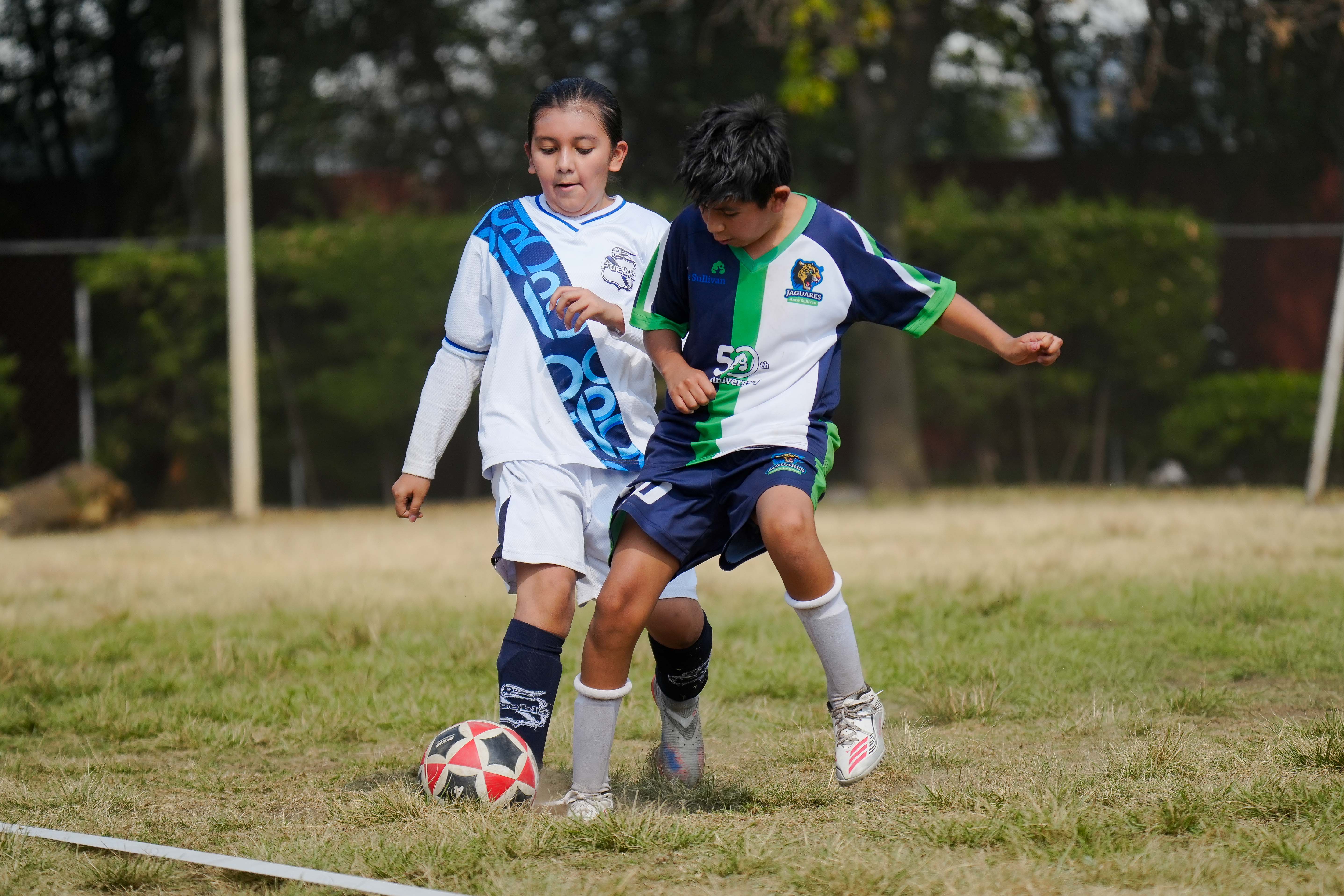 J10 PL -  Puebla Azcapotzalco vs Jaguares Anne Sullivan / 2016-2017