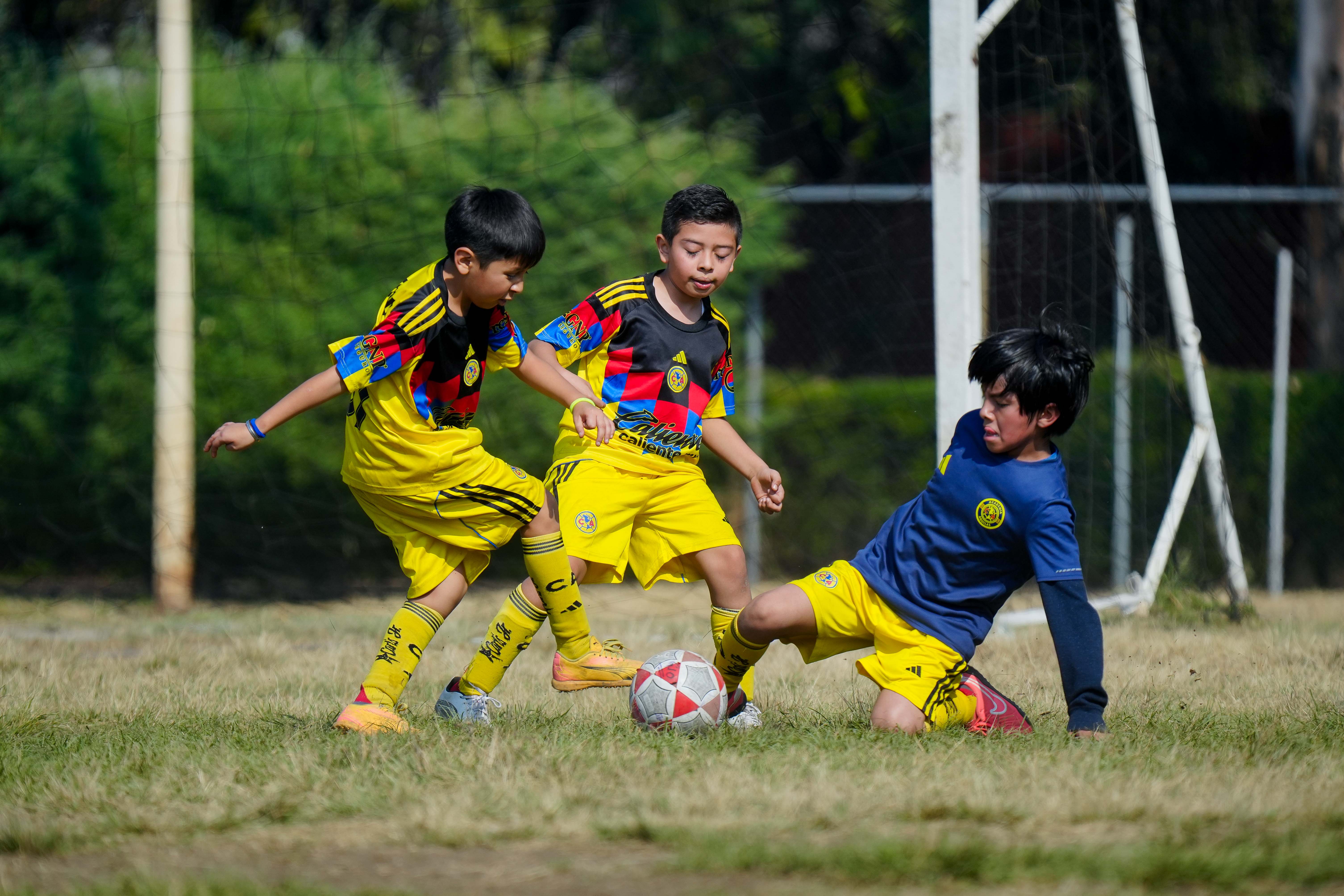 J10 PL - Águilas Azcapotzalco vs Academia Águilas Malagón / 2016-2017