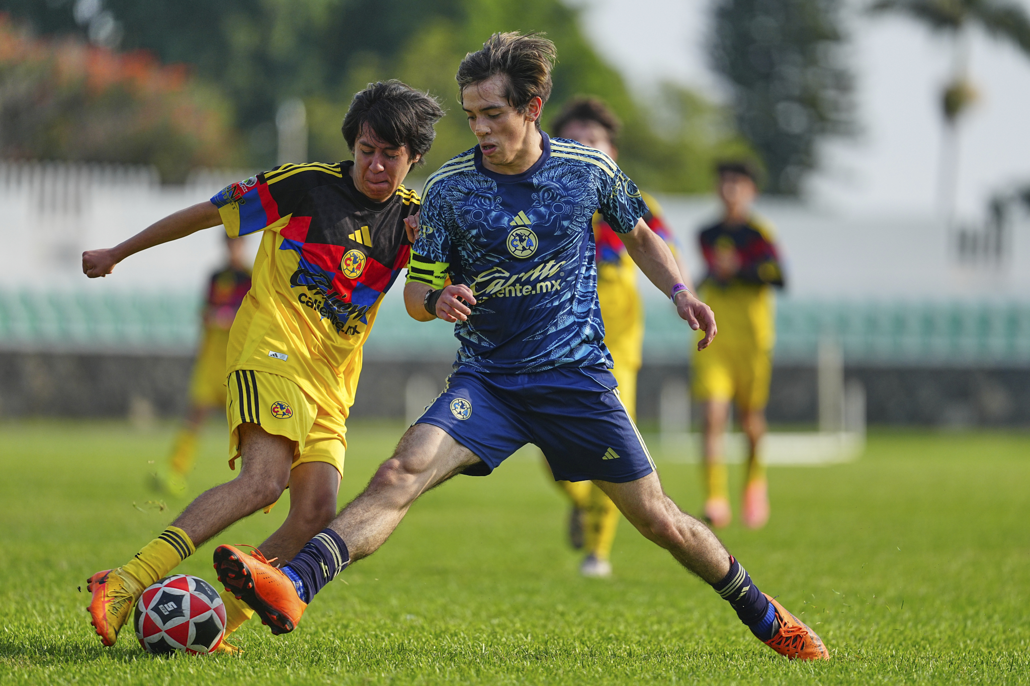 F PL - Academia Águilas vs Aguilitas MH / 2008-09