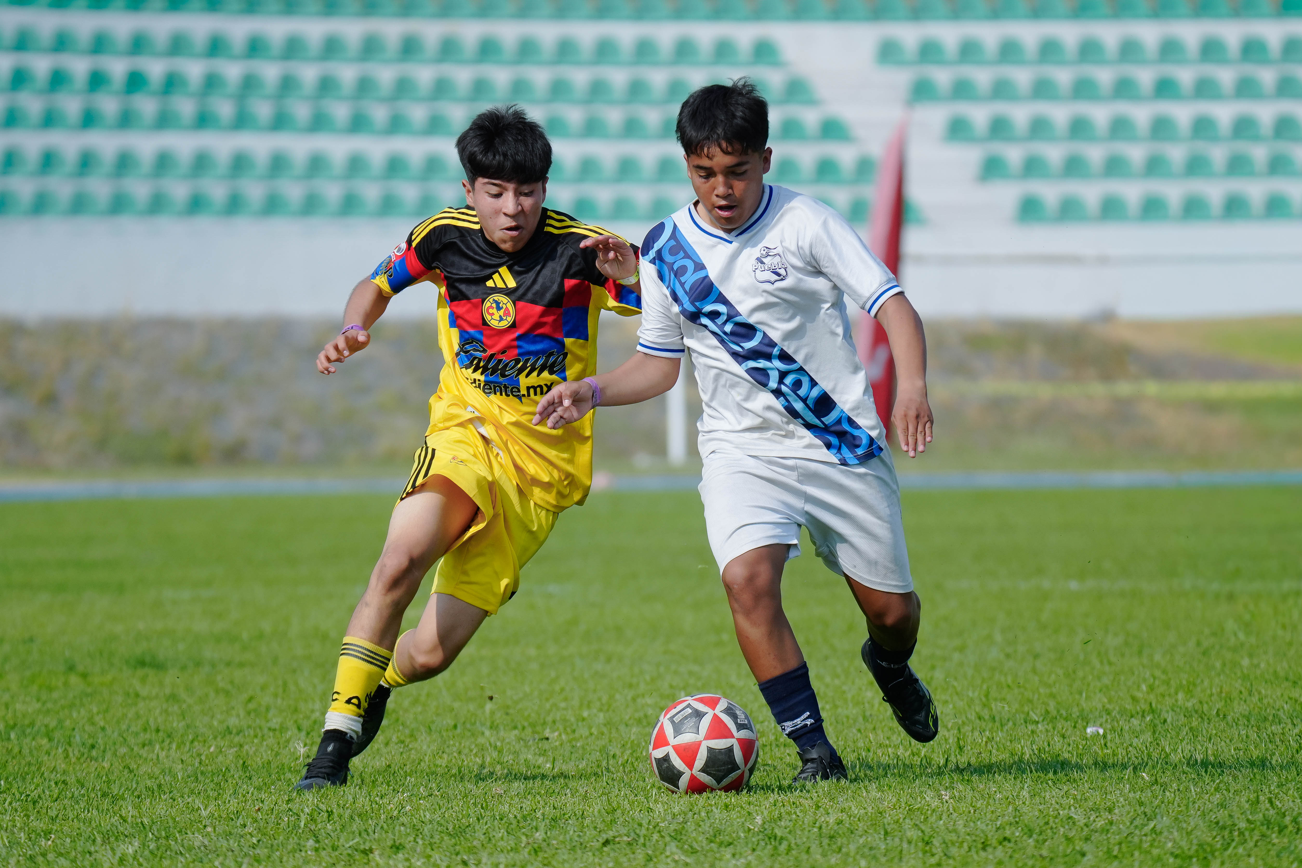 F PL - Academia Águilas vs Puebla Azcapotzalco / 2010-11