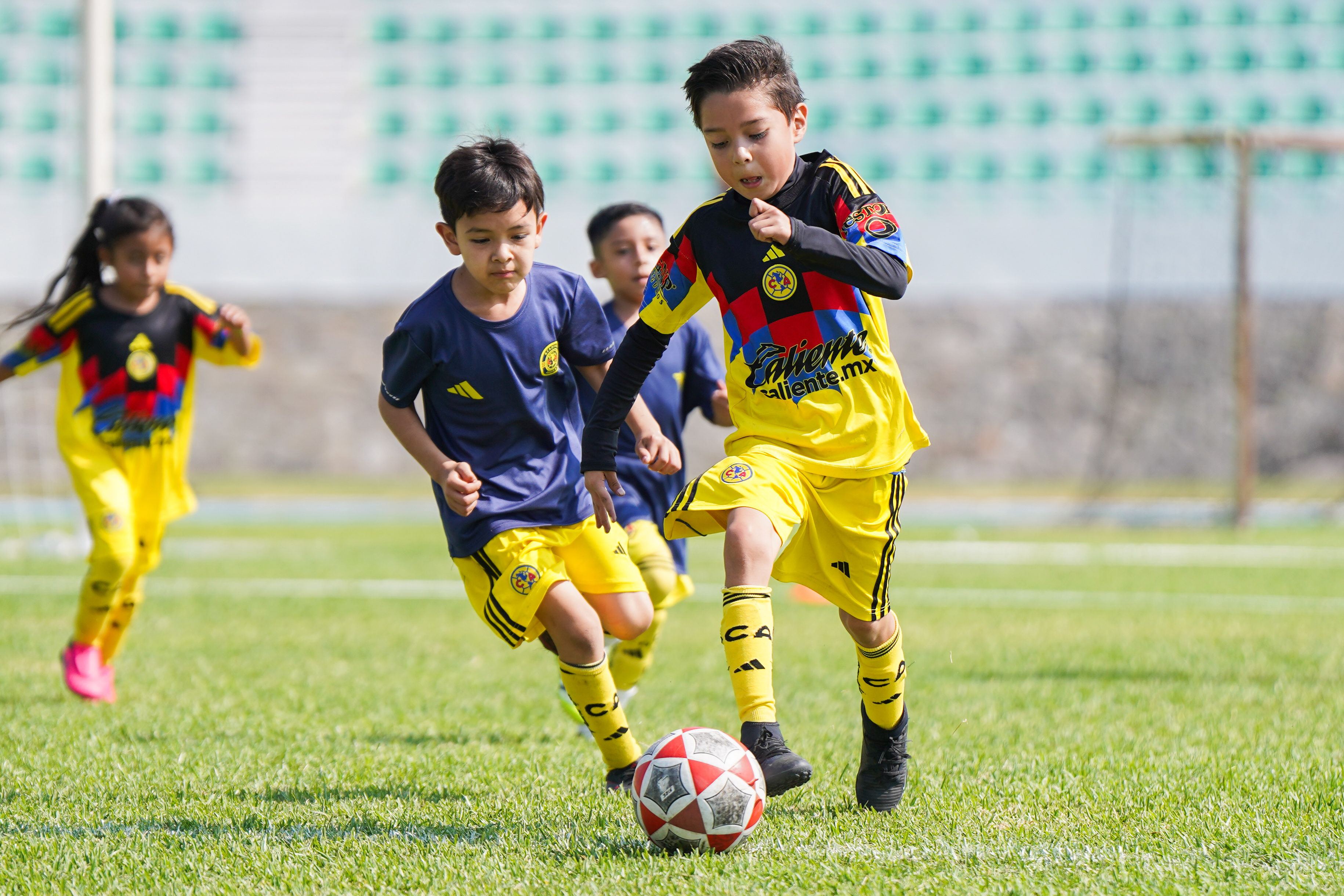 F PL - Águilas Azcapotzalco vs Academia Águilas - 2018-19