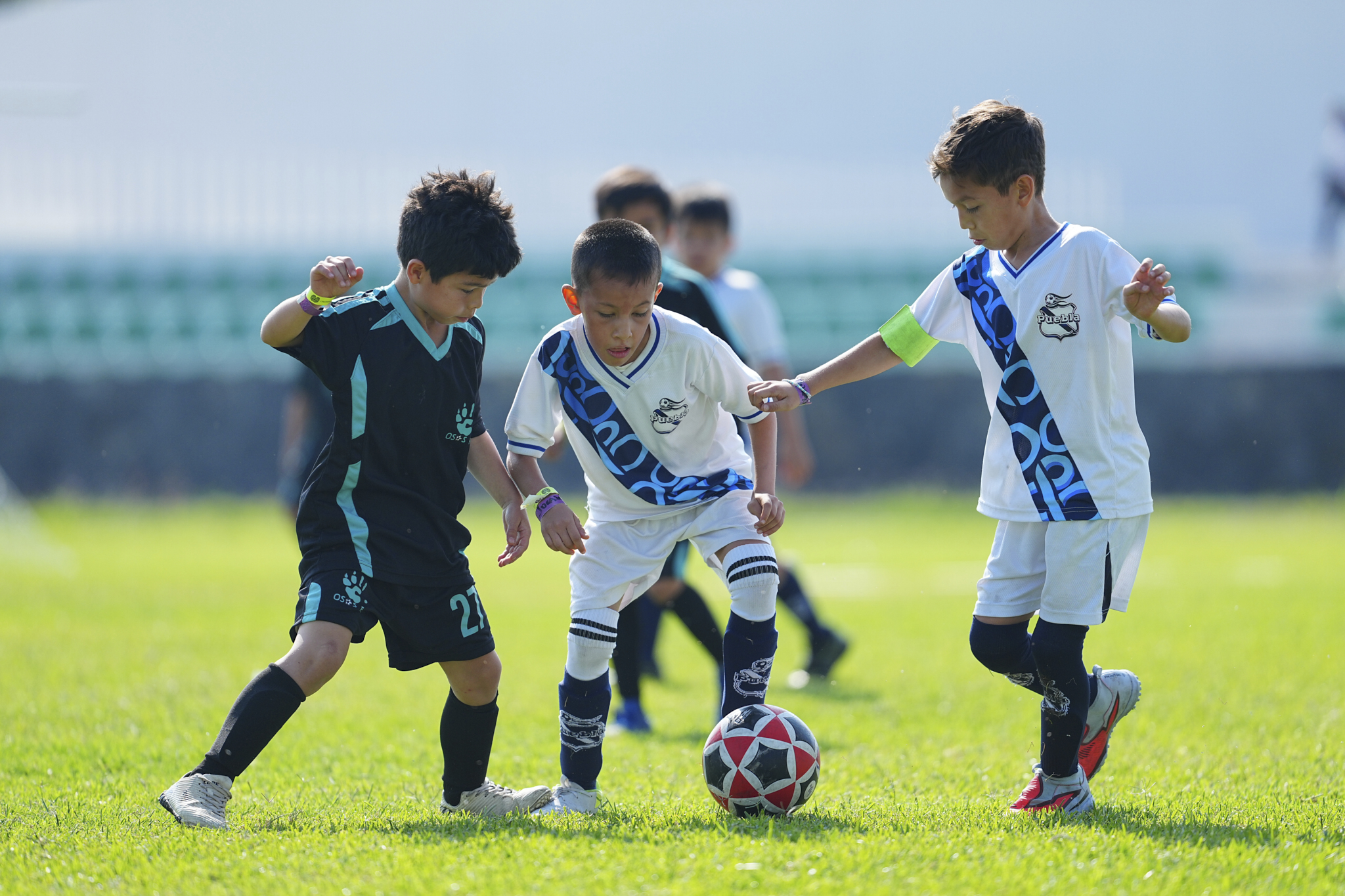 F PL - Puebla Azcapotzalco vs Osos F.C. - 2016-17 