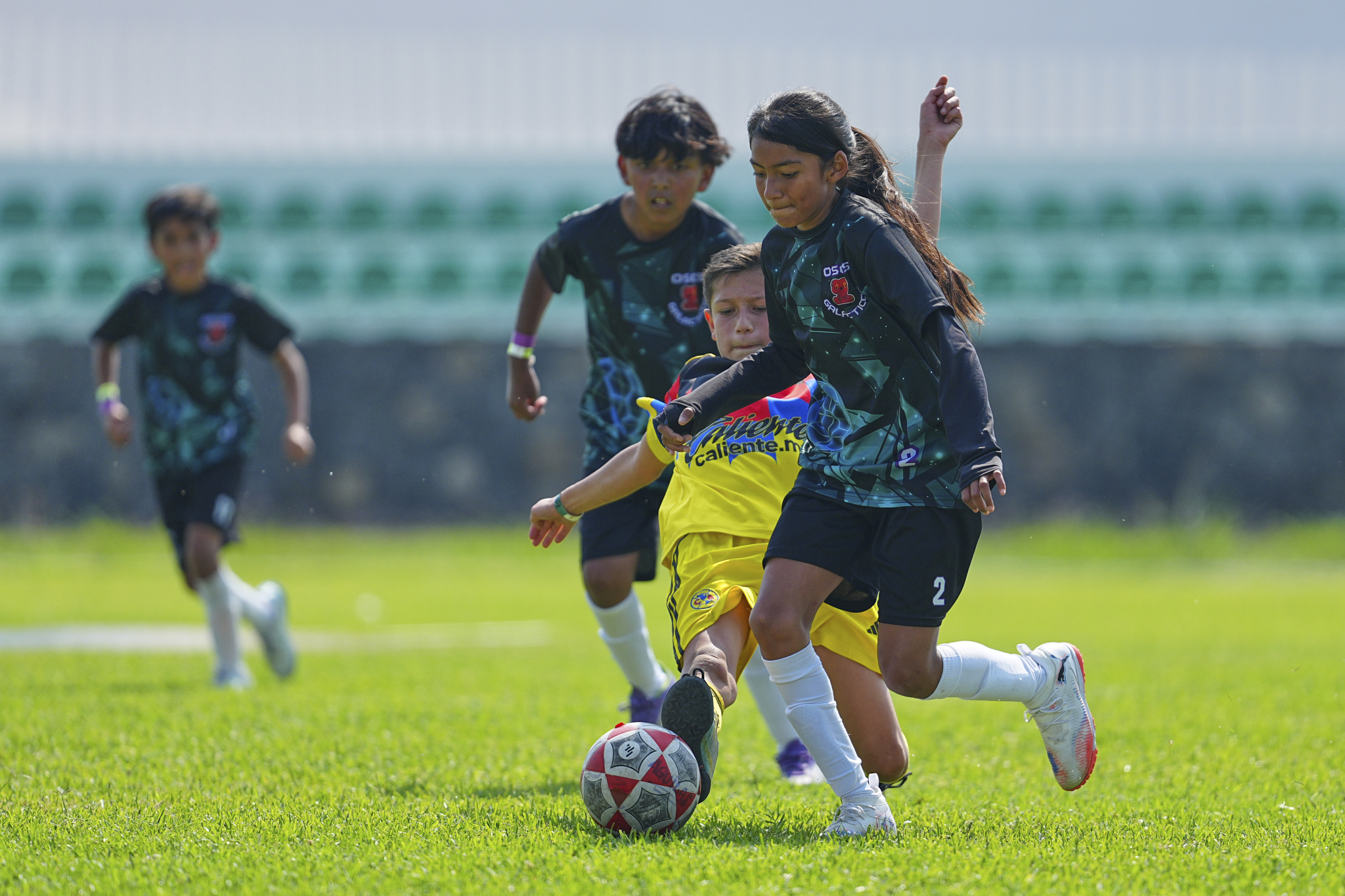 F PL - Osos Galácticos vs Águilas Azcapotzalco - 2014-15