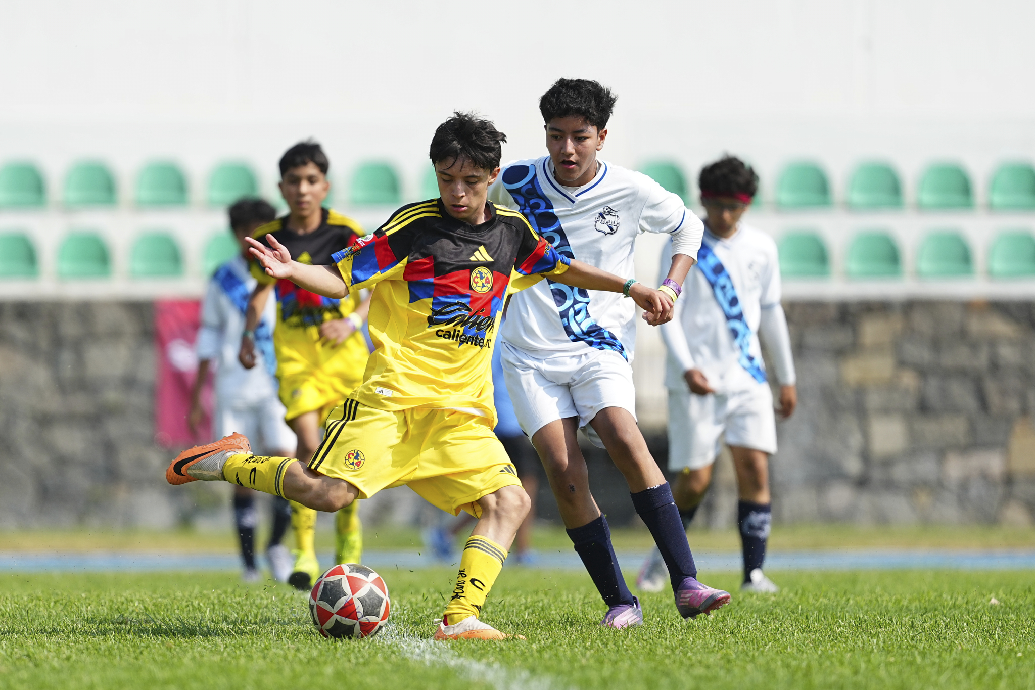 F PL - Puebla Azcapotzalco vs Águilas Azcapotzalco - 2012-13