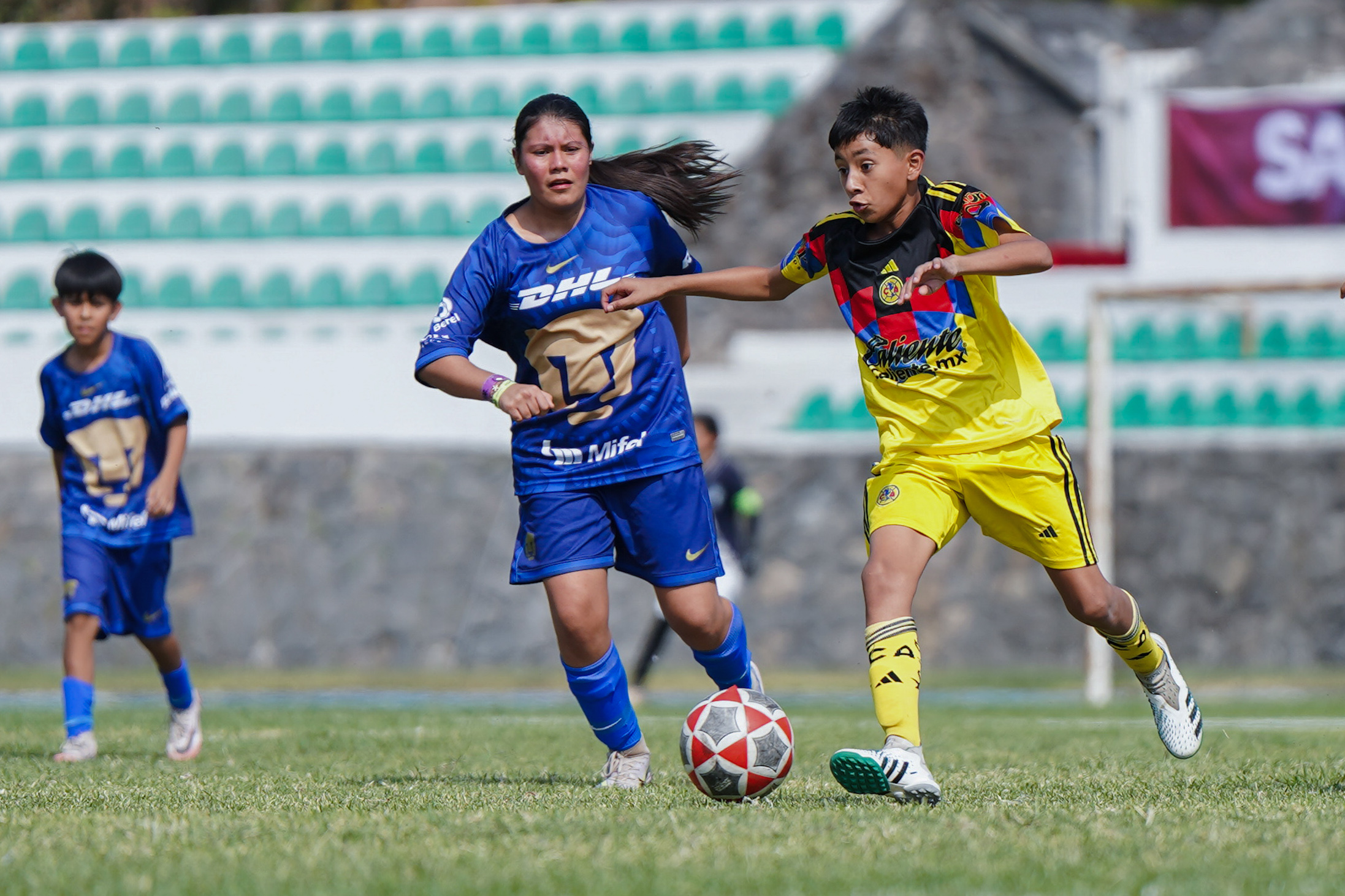 3L PL - CEFOR Pumas VR vs Academia Águilas Zendejas - 2012-13