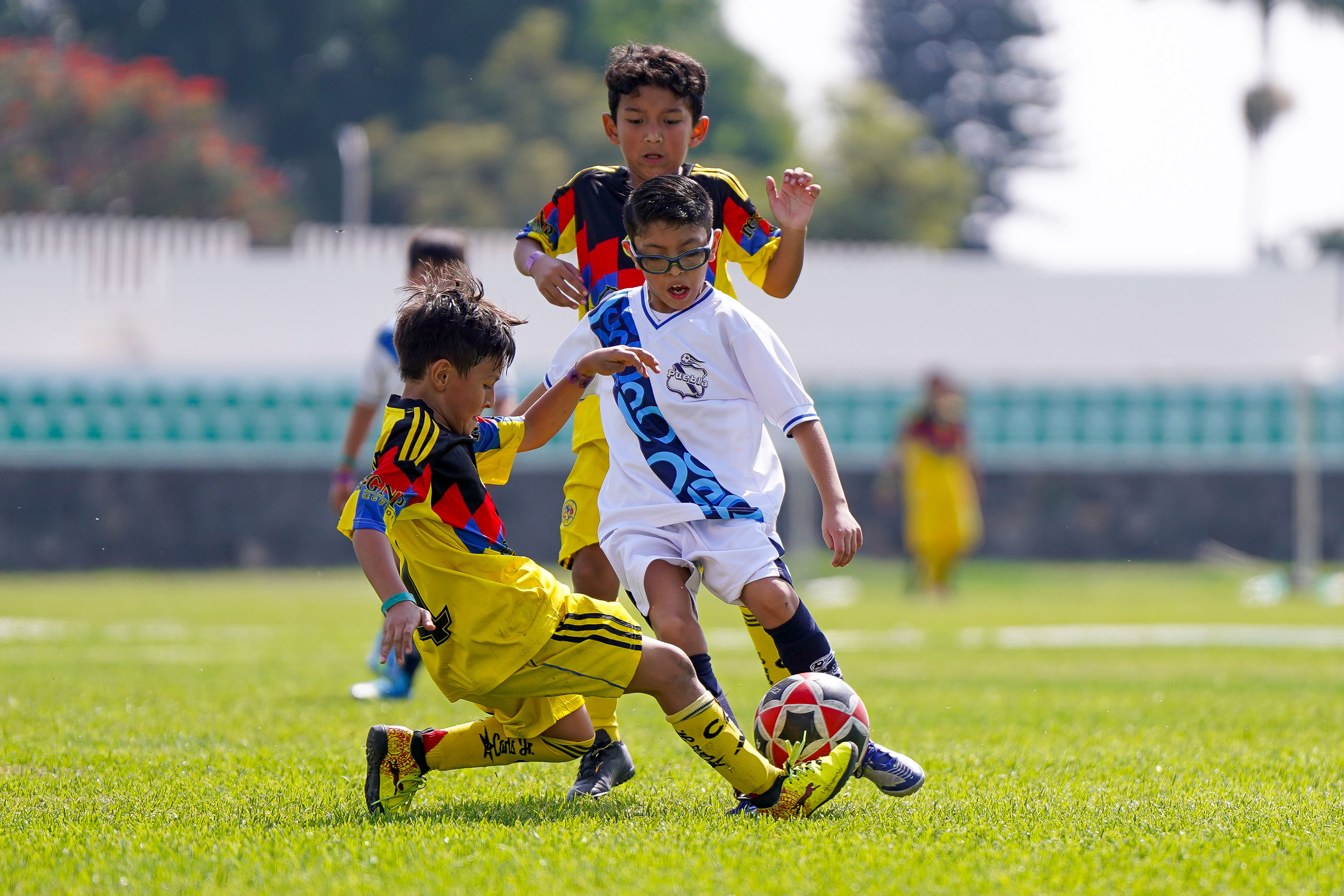 SF PL - Puebla Azcapotzalco vs Águilas Azcapotzalco - 2016-17