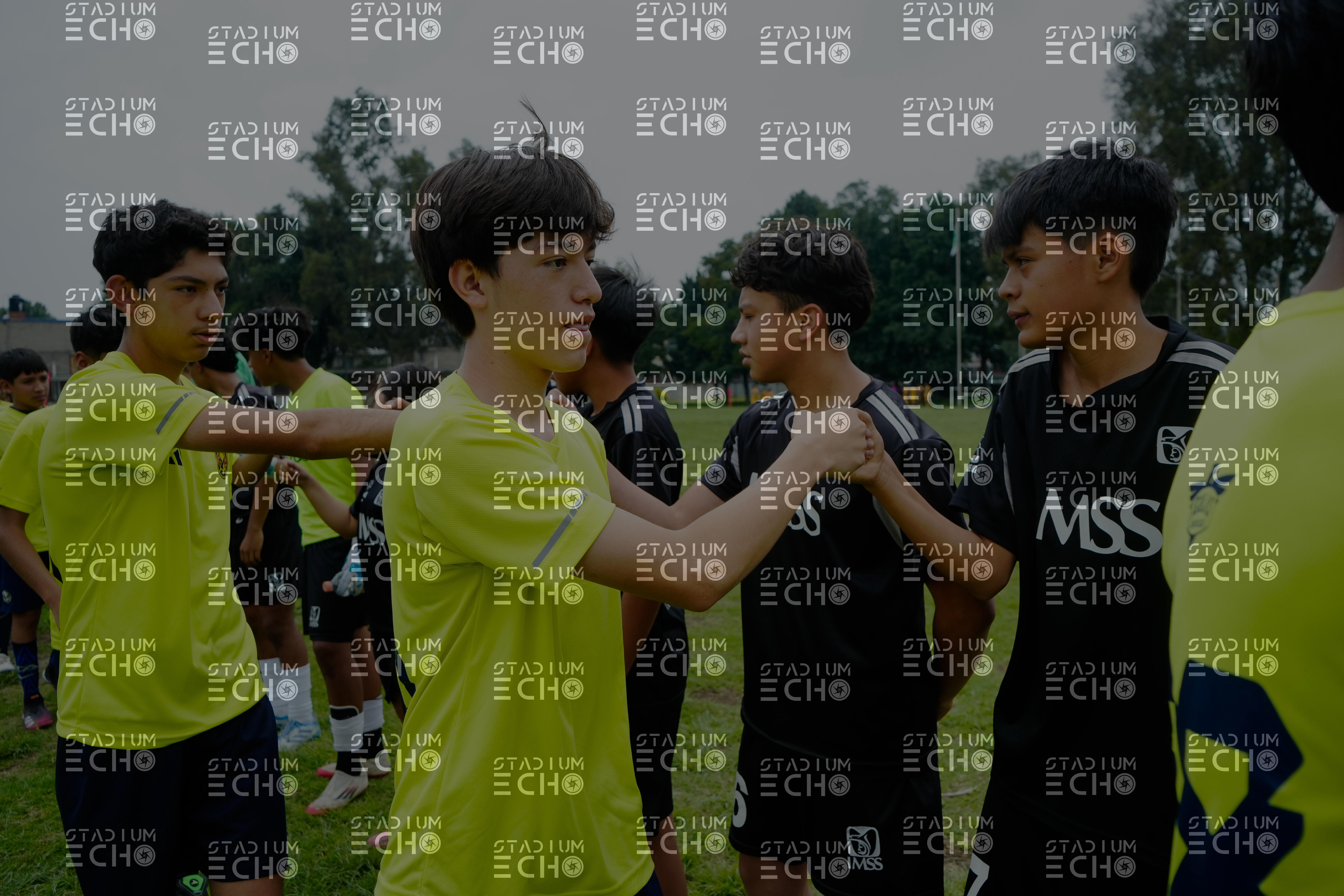 SE12013.jpg