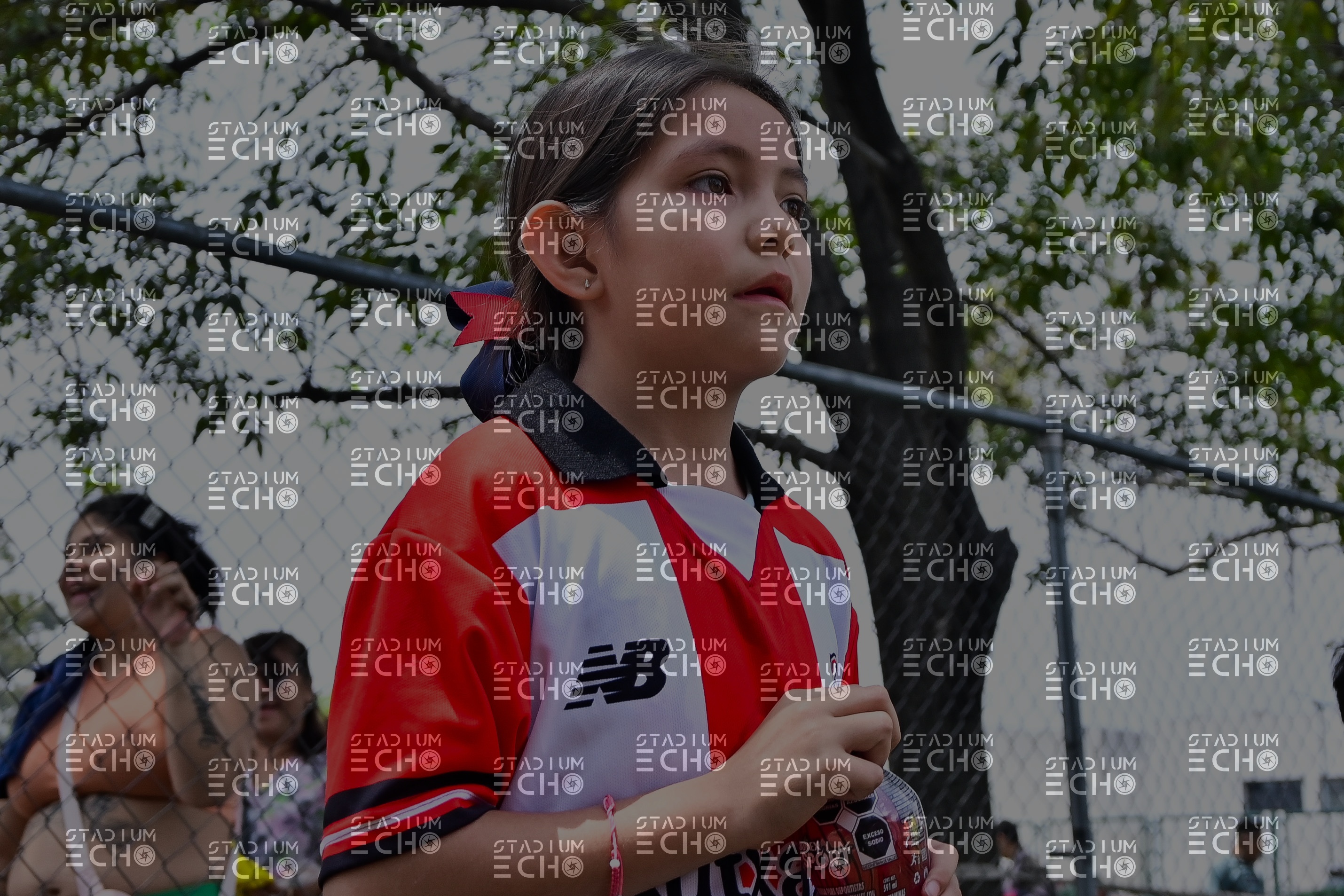 SE15255.jpg