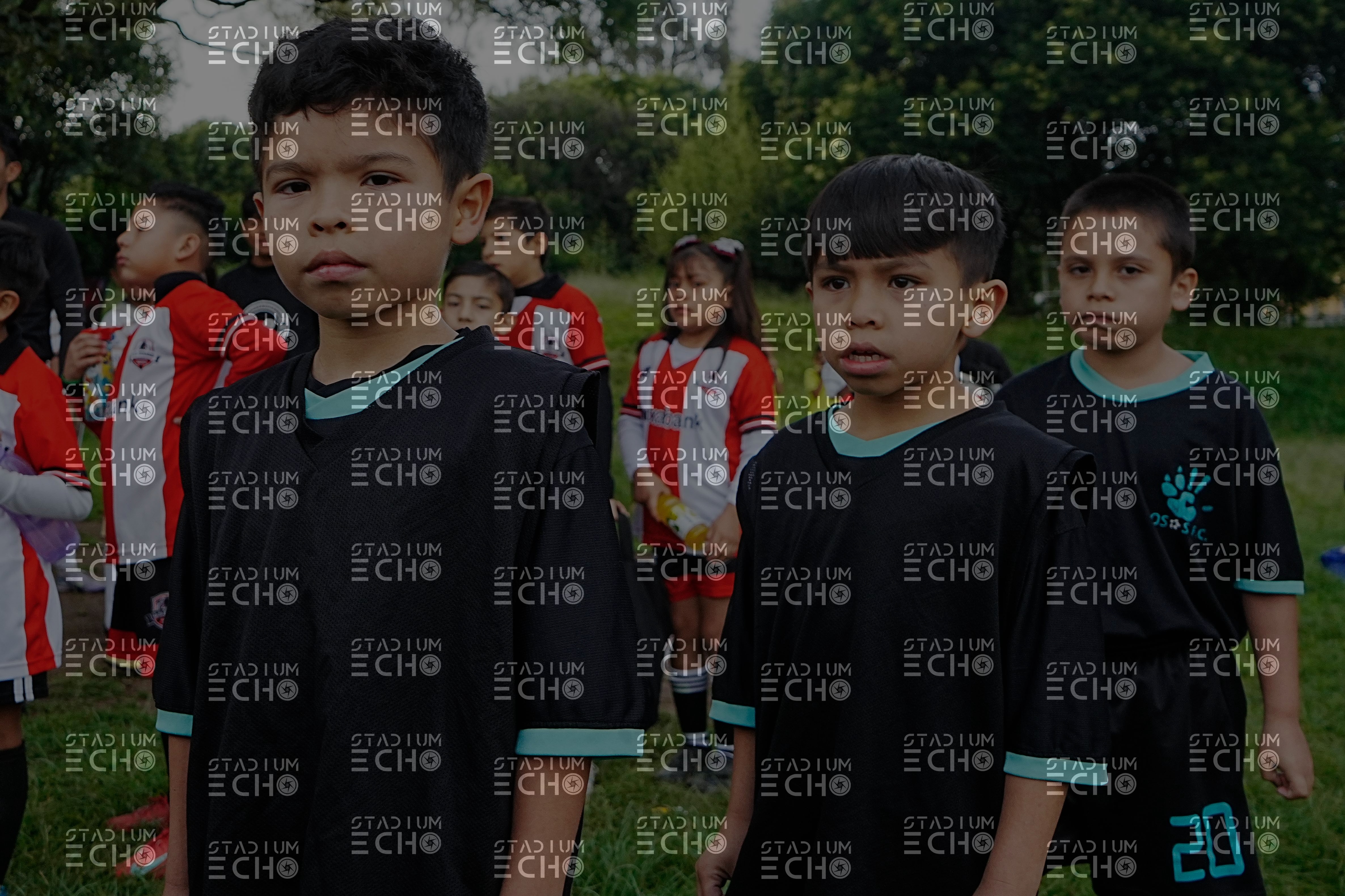 SE9843.jpg