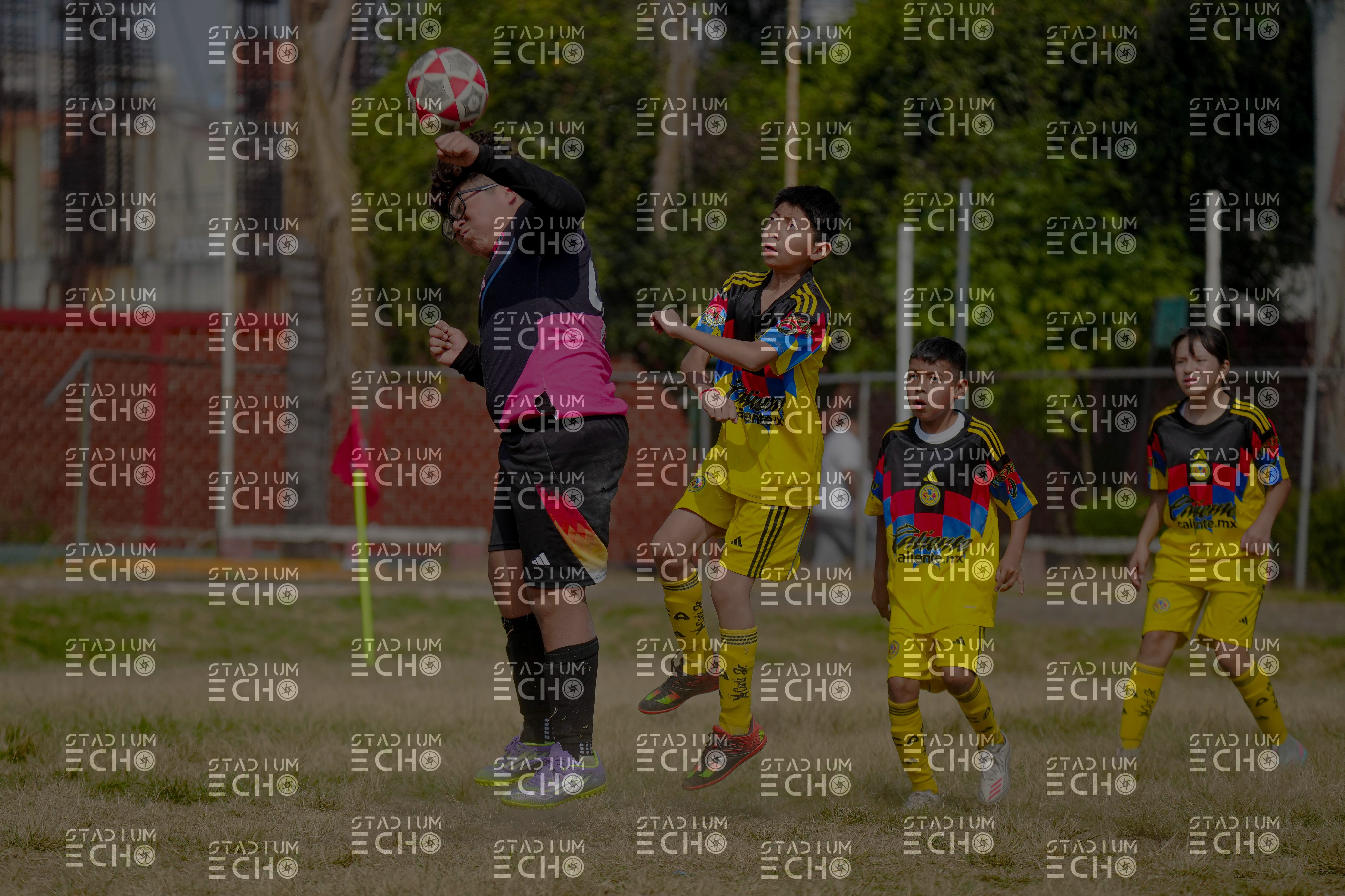 Copia de _DSC1552.jpg