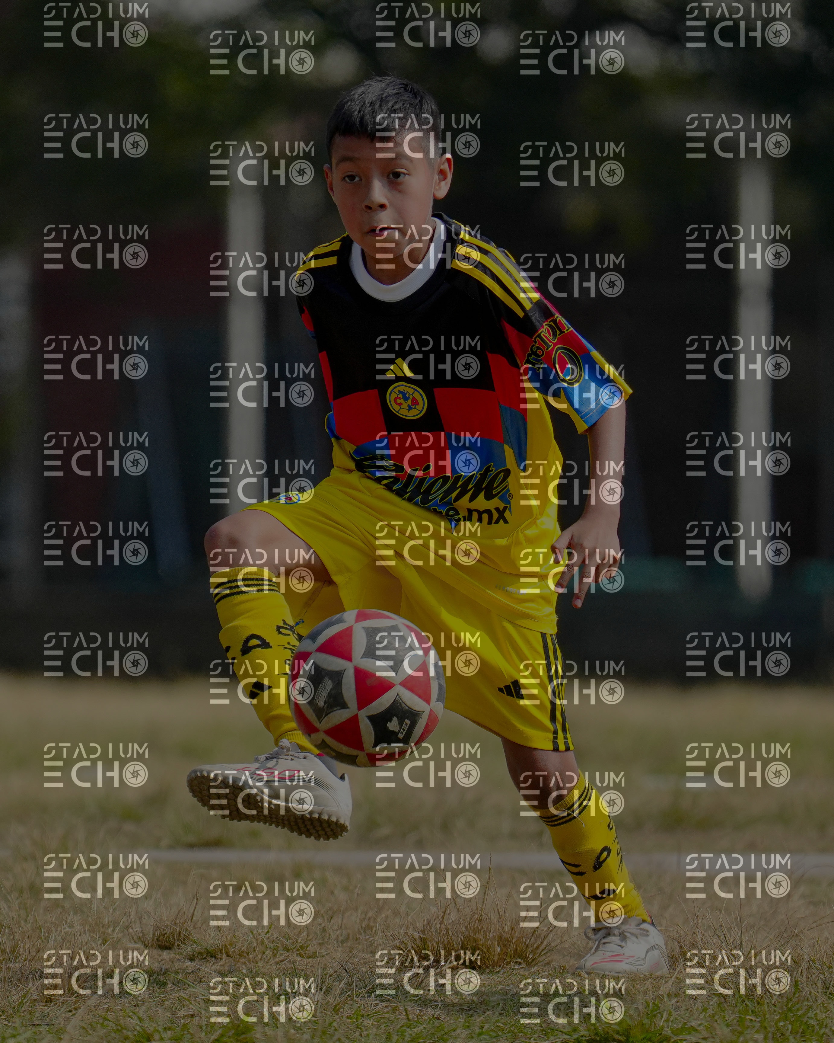 Copia de _DSC1596.jpg